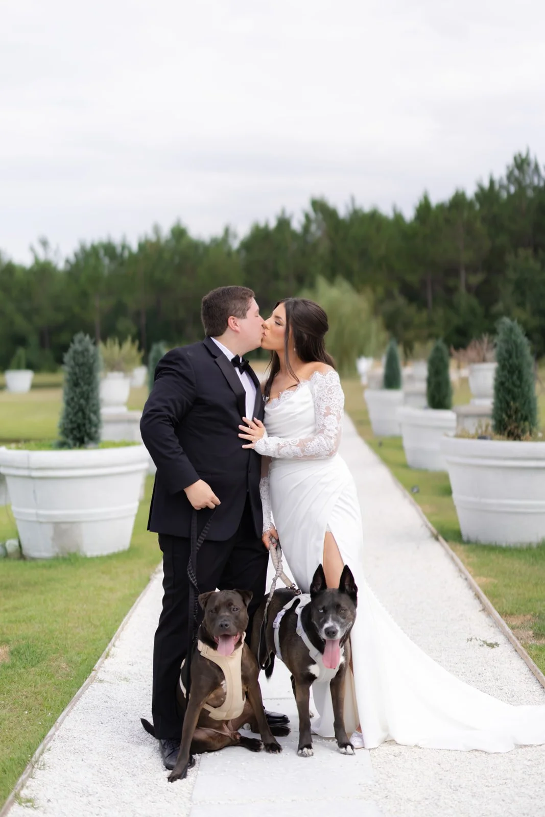 dogs in weddings southern wedding inspiration.jpg
