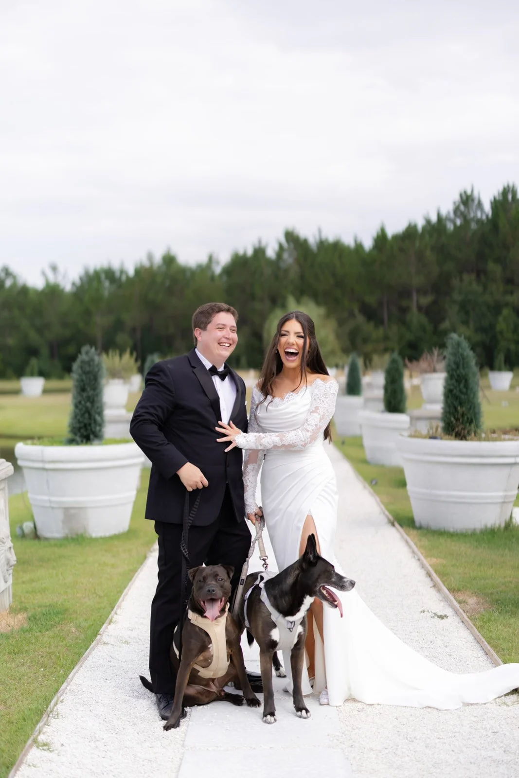 dogs in weddings southern wedding inspiration chateau 1800 .jpg