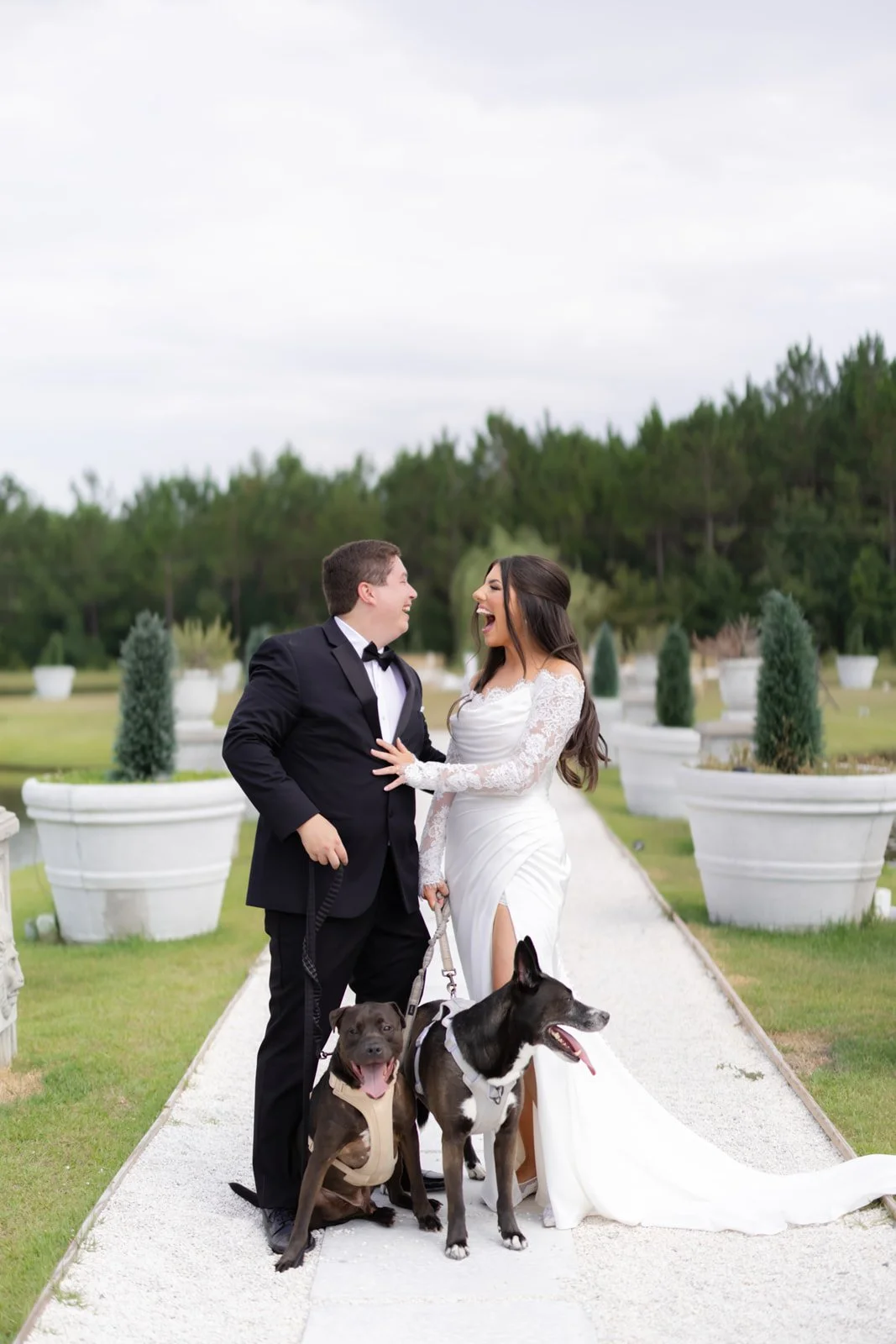 southern wedding inspiration with dogs.jpg