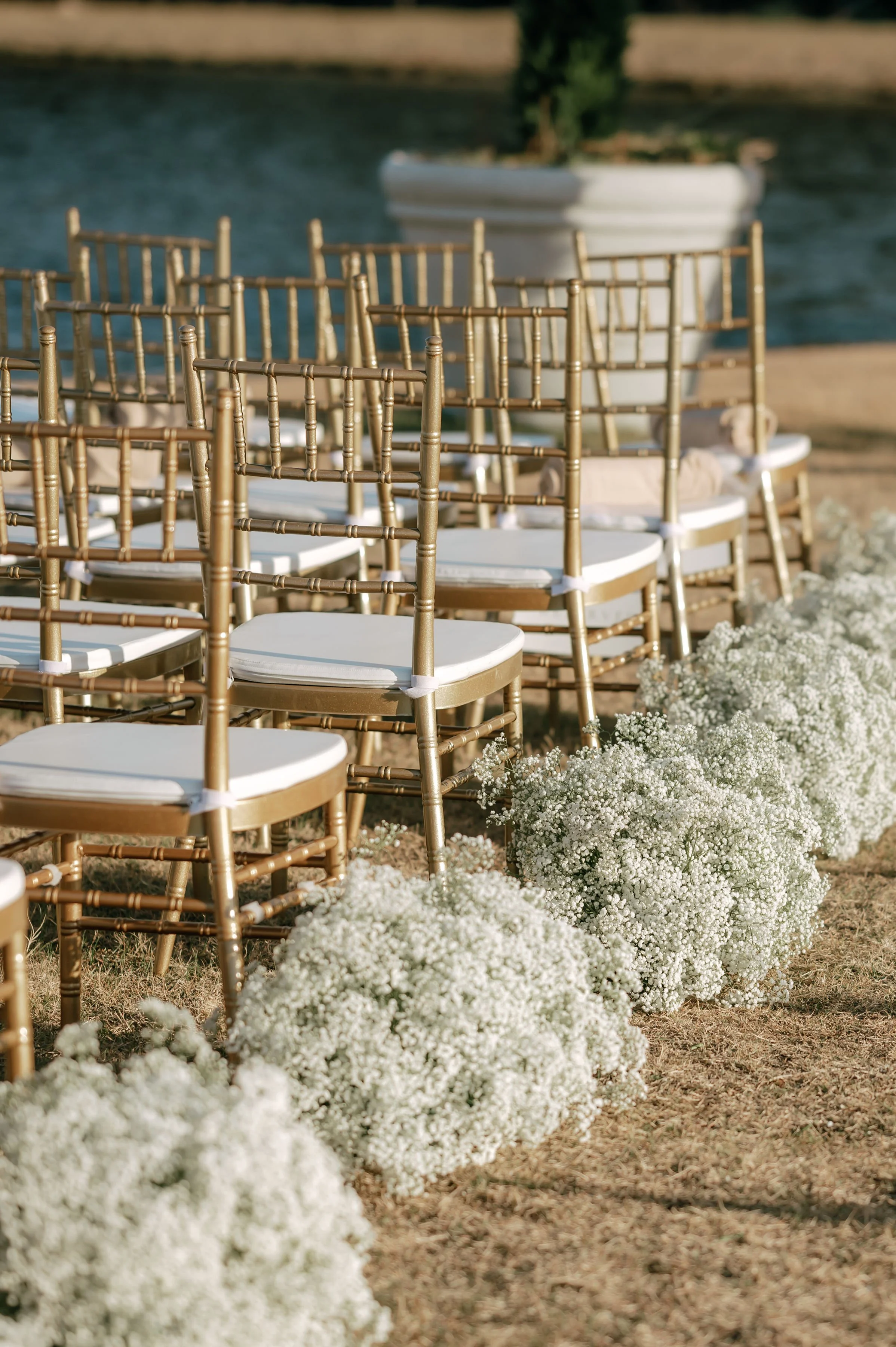 Gold Chiavari chairs with white cushions arranged outdoors near a body of water, surrounded by white floral arrangements, likely set up for a wedding ceremony.