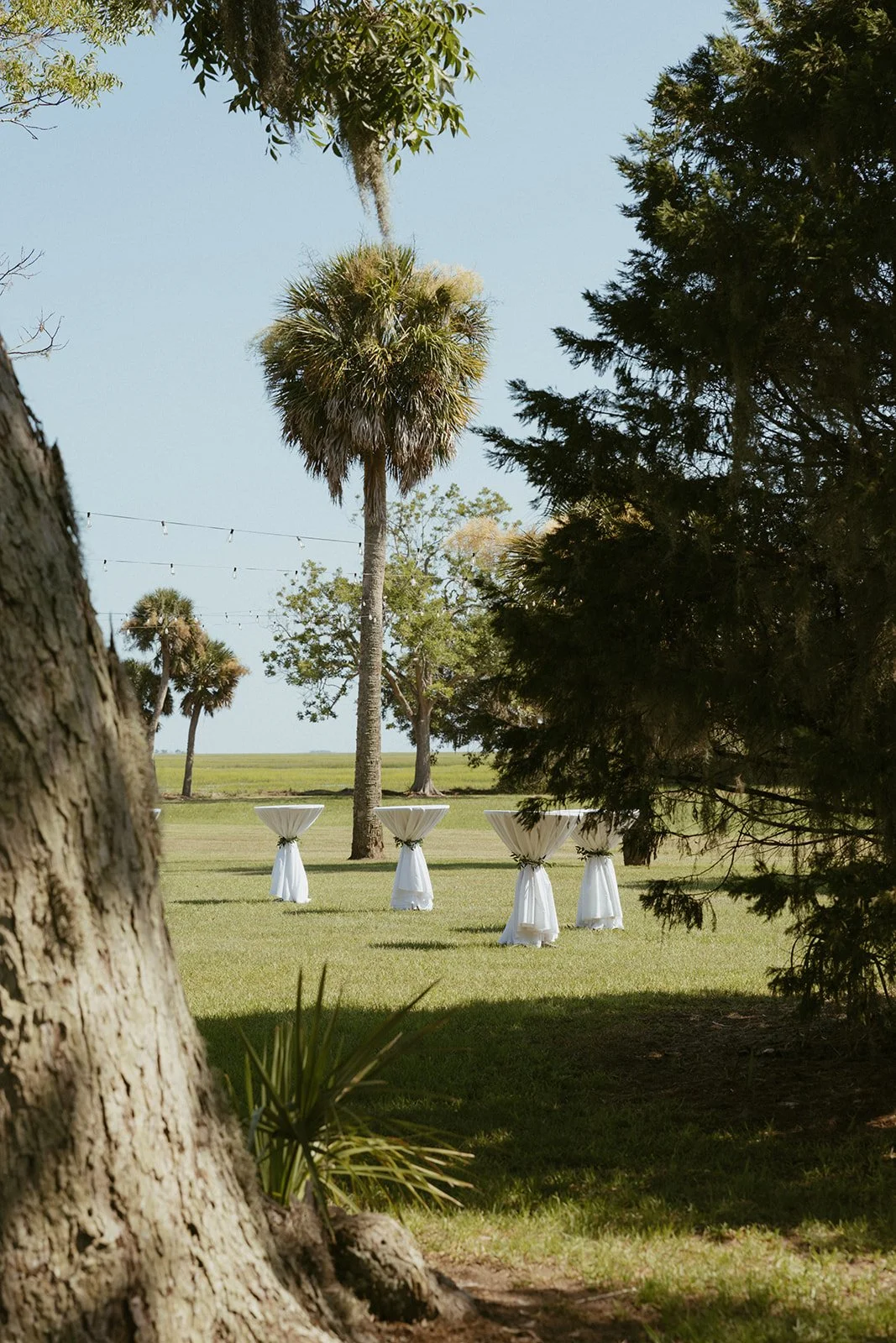 Outdoor wedding cocktail setup at Agapae Oaks on St. Helena Island South Carolina featuring lawn reception space, palm trees, string lights and scenic Lowcountry marsh views for Southern destination wedding.