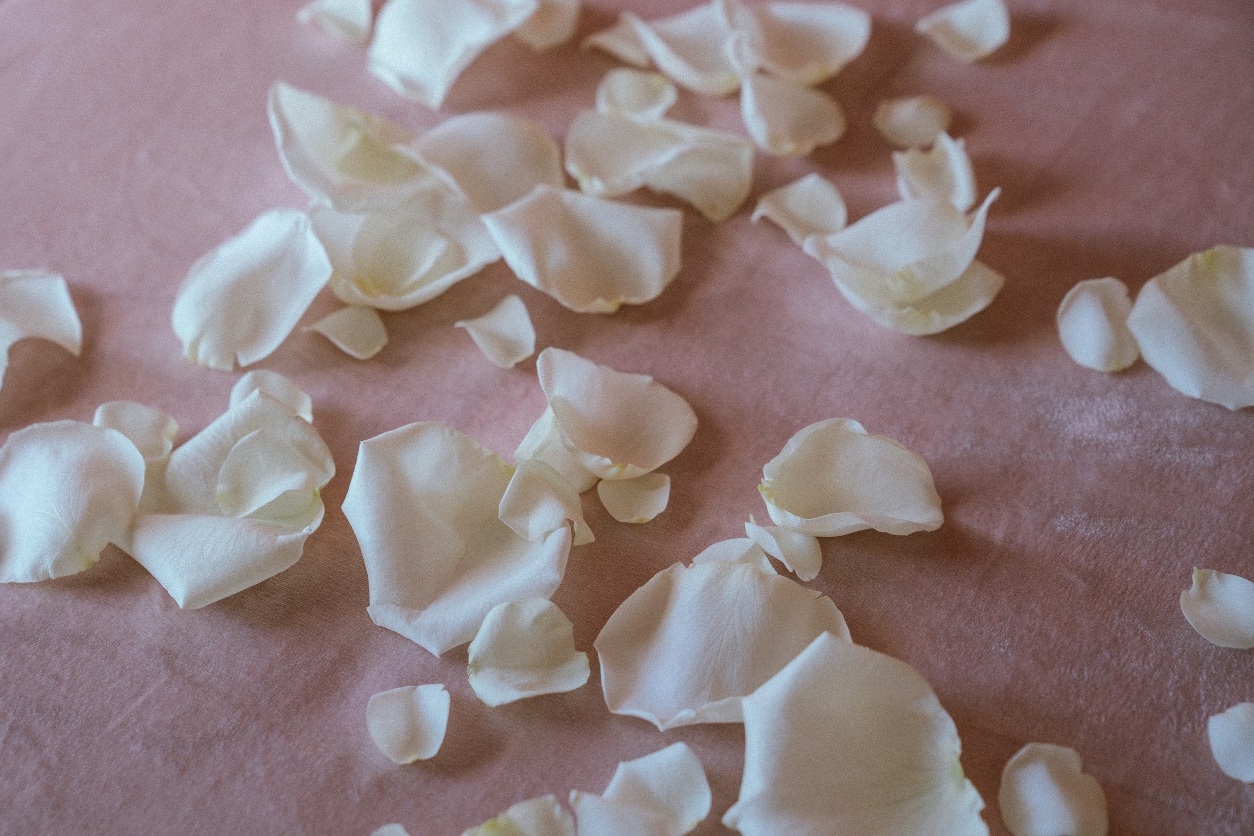 toss-petals.jpg