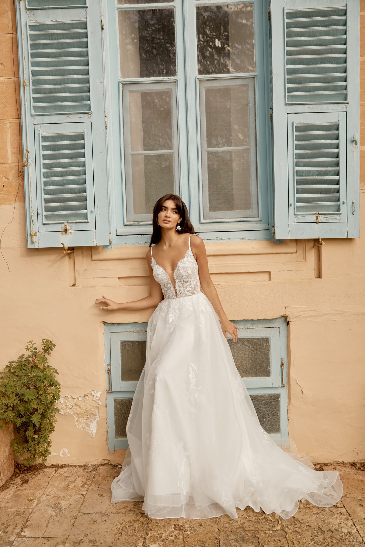 Organza A-line Gown Adorned with Embroidered Embellished Lace