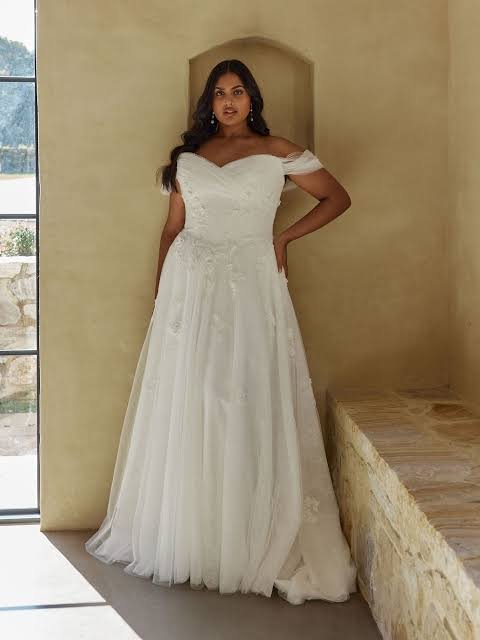 Plus Size Lace A Line Tulle Gown