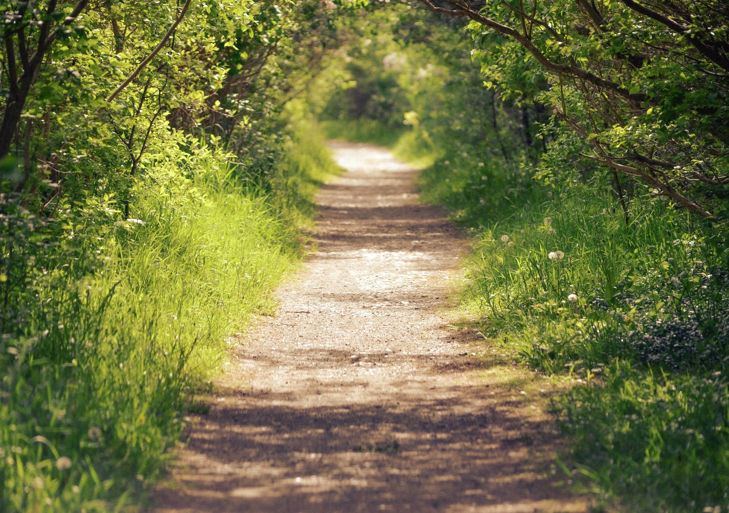 Exploring the Best Parks and Trails near Westchester Tower, College Park, MD