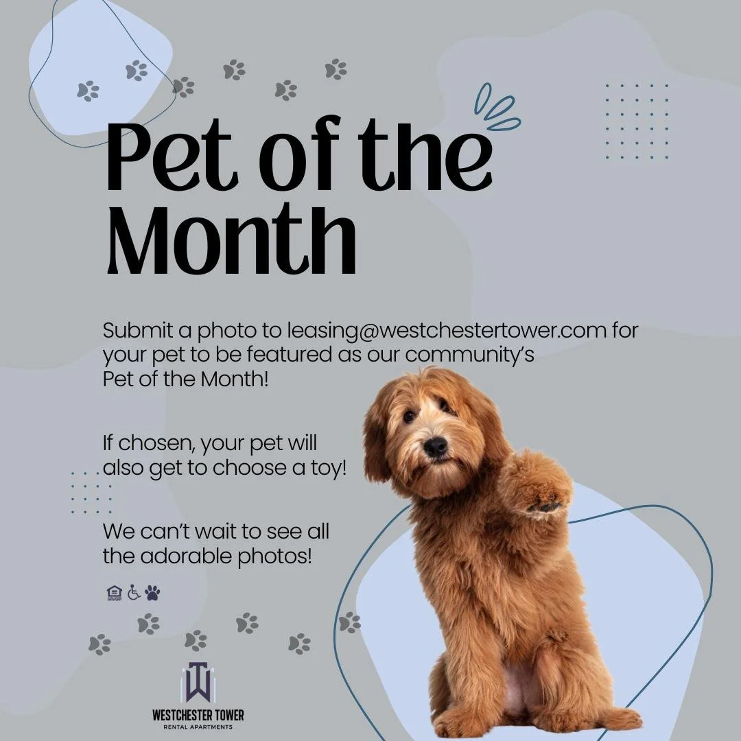 Calling all Westchester Tower pet paw-rents! 🐶 🐱🐩😸

Send your pet photo to leasing@westchestertower.com for a chance to have them featured as Westchester Tower's Pet of the Month. If chosen, your pet will also get to choose a toy! Be sure to incl
