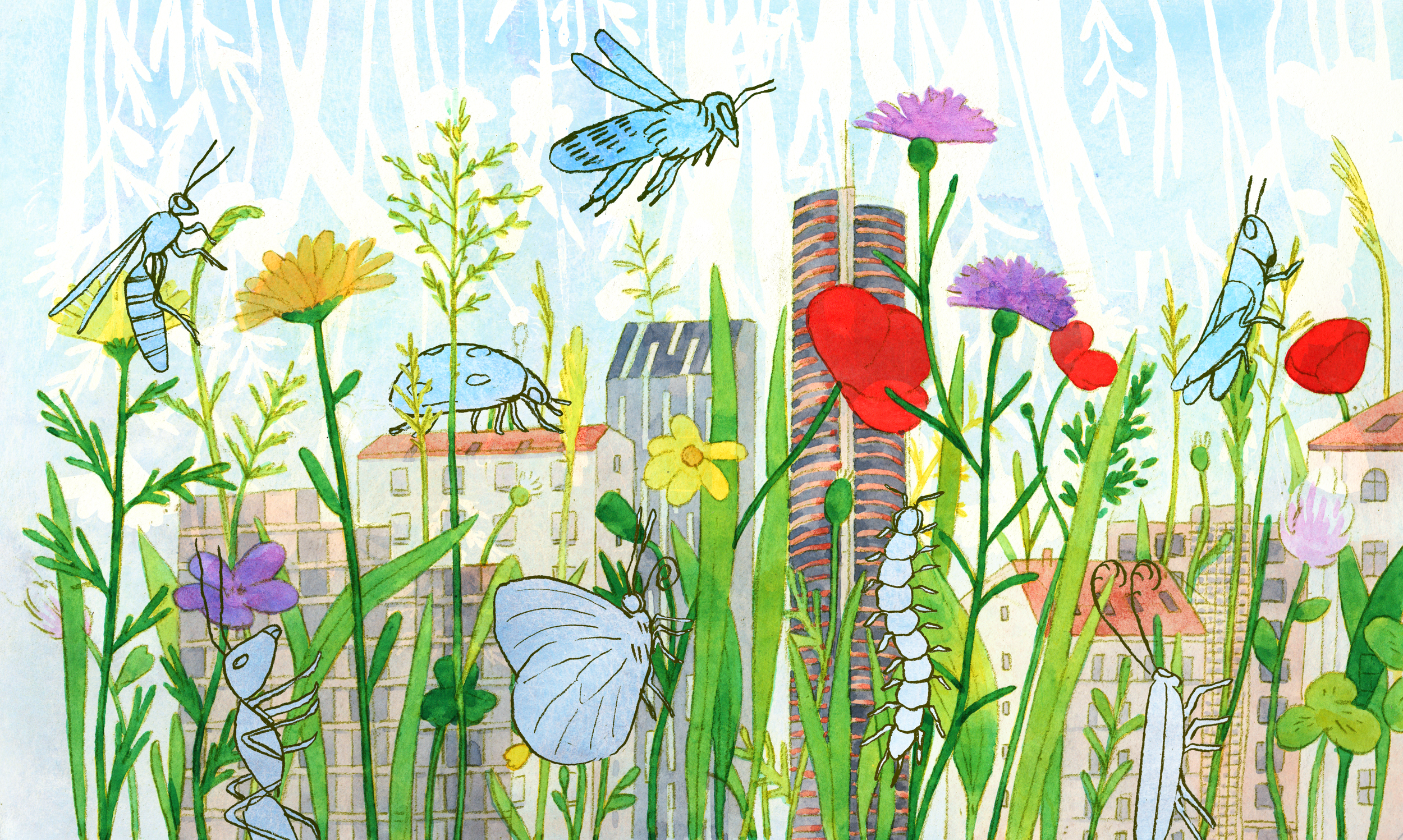 The Hidden Value of Insects