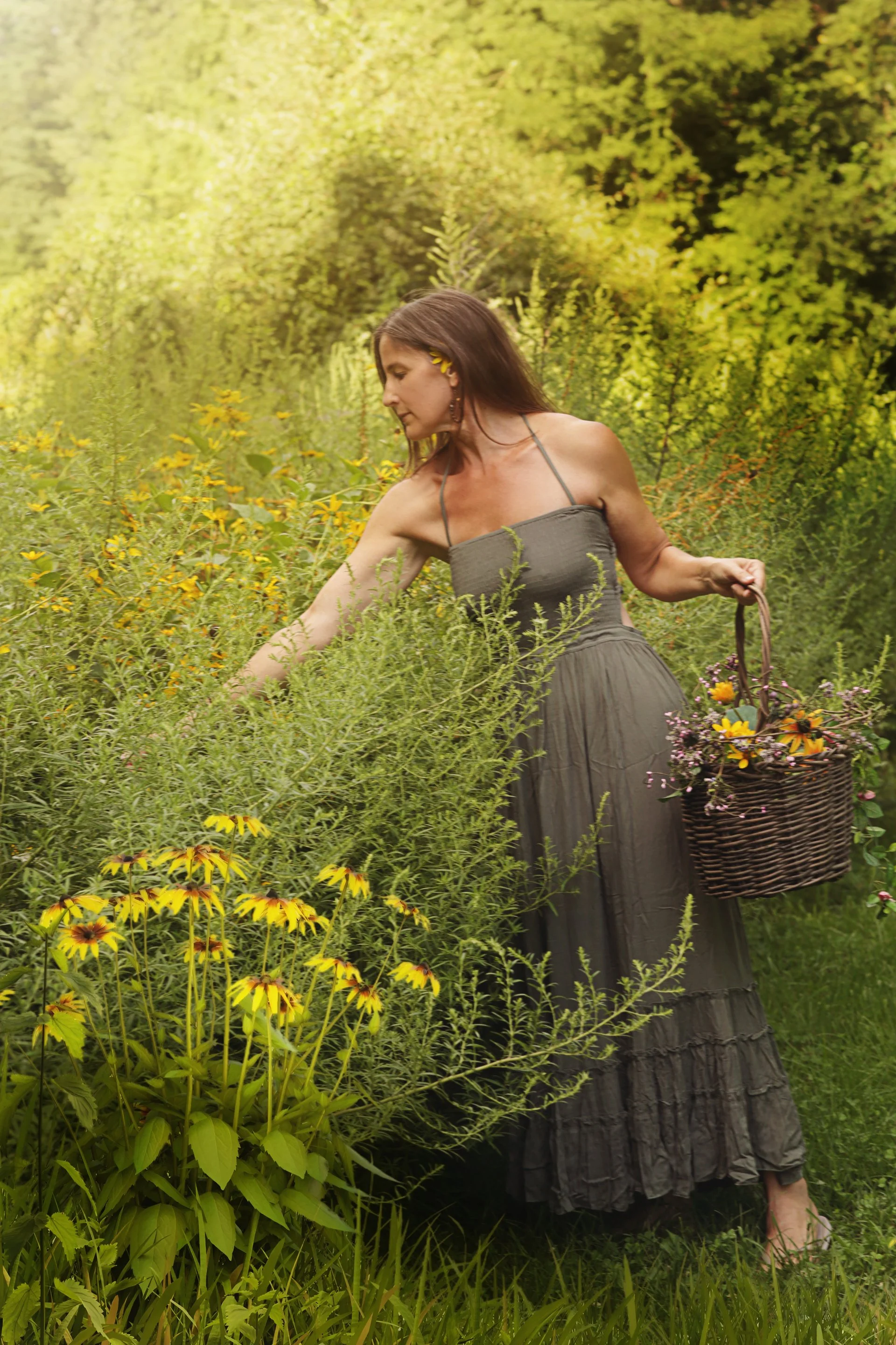 janess_meadow.jpg