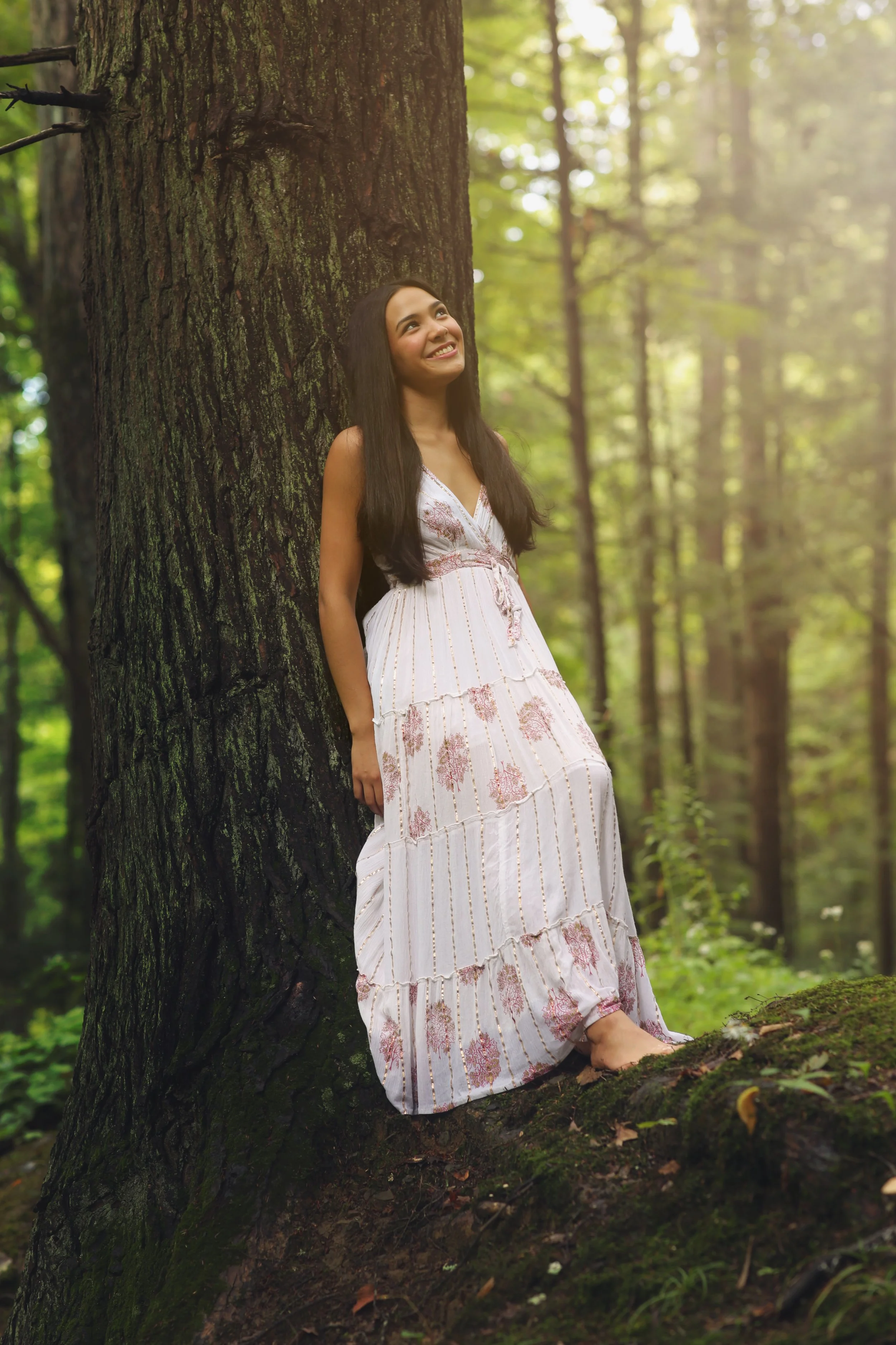 bella_tree_sunlight.jpg