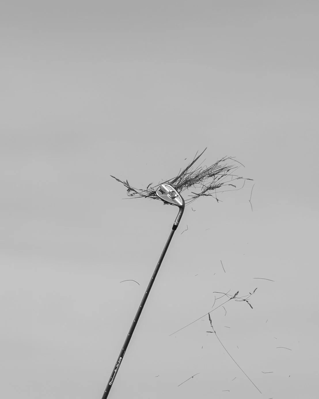 Website Pictures August 2026-8.jpg