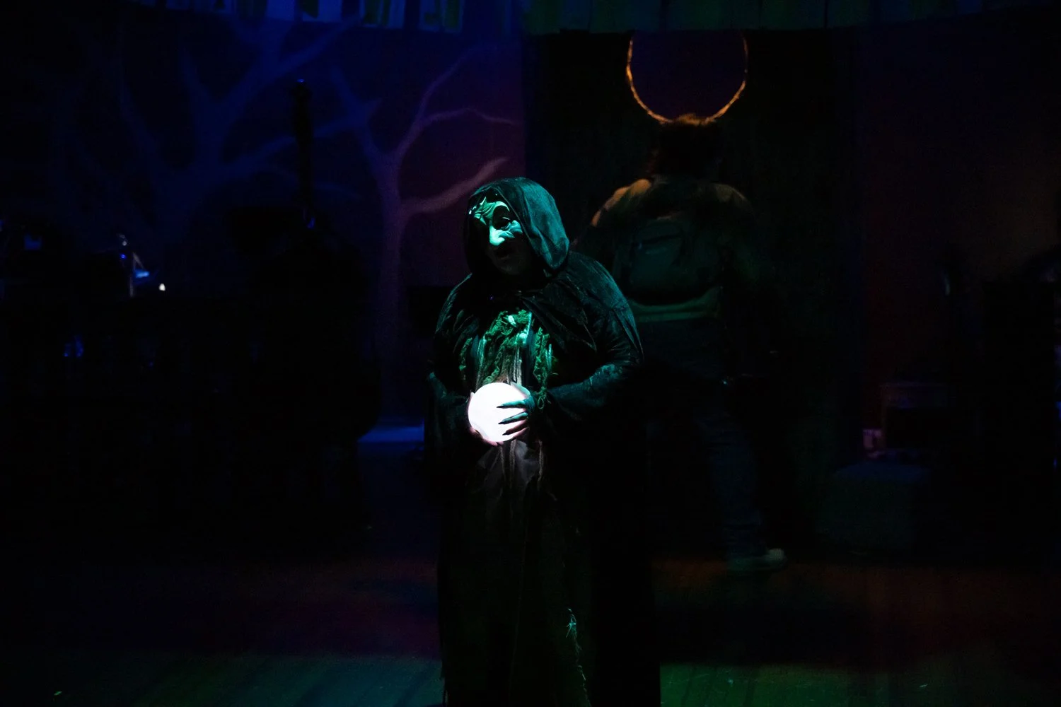 300-Into The Woods NNCP-2026 YES THIS ONE.jpg