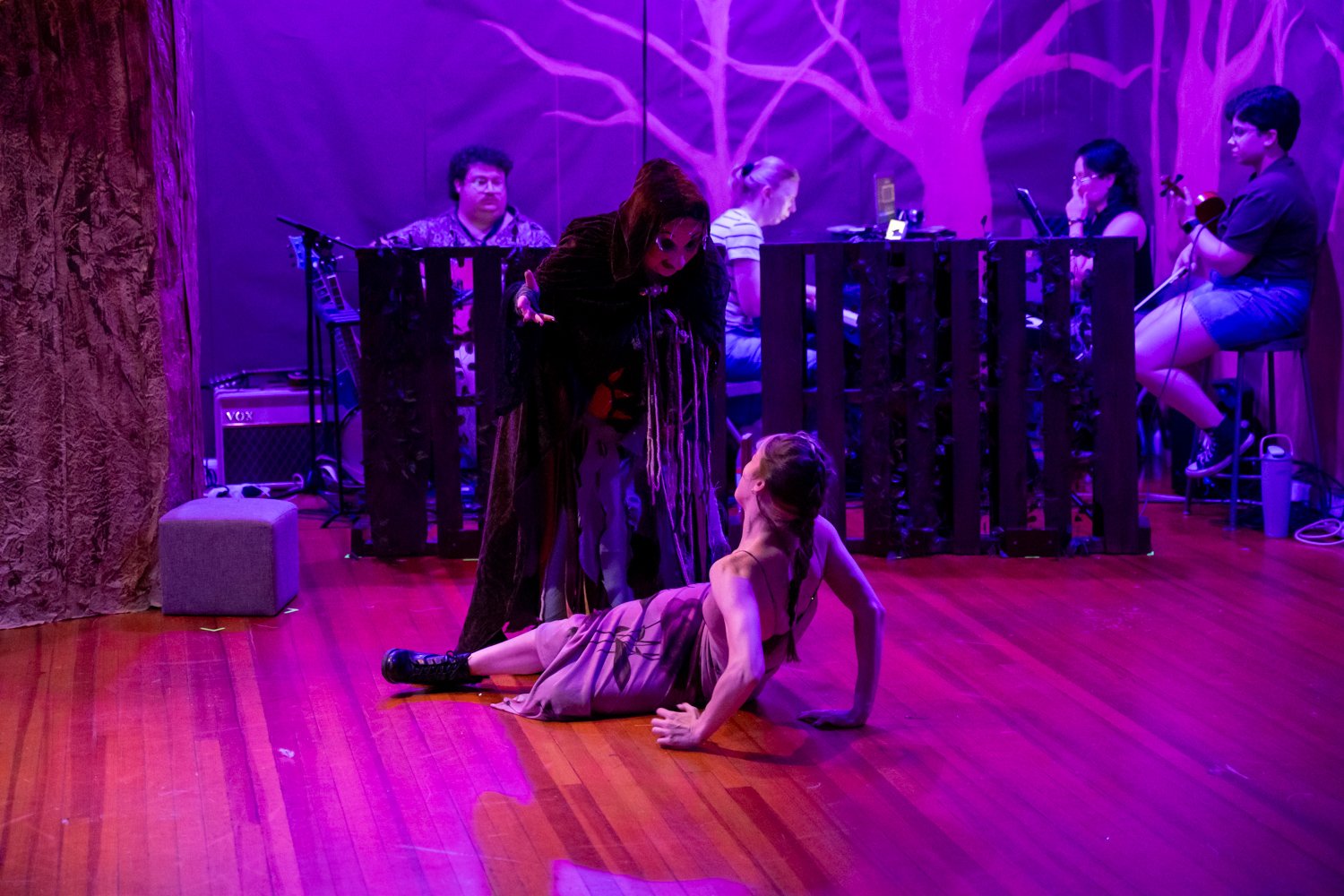 509-Into The Woods NNCP-2026 YES THIS ONE.jpg