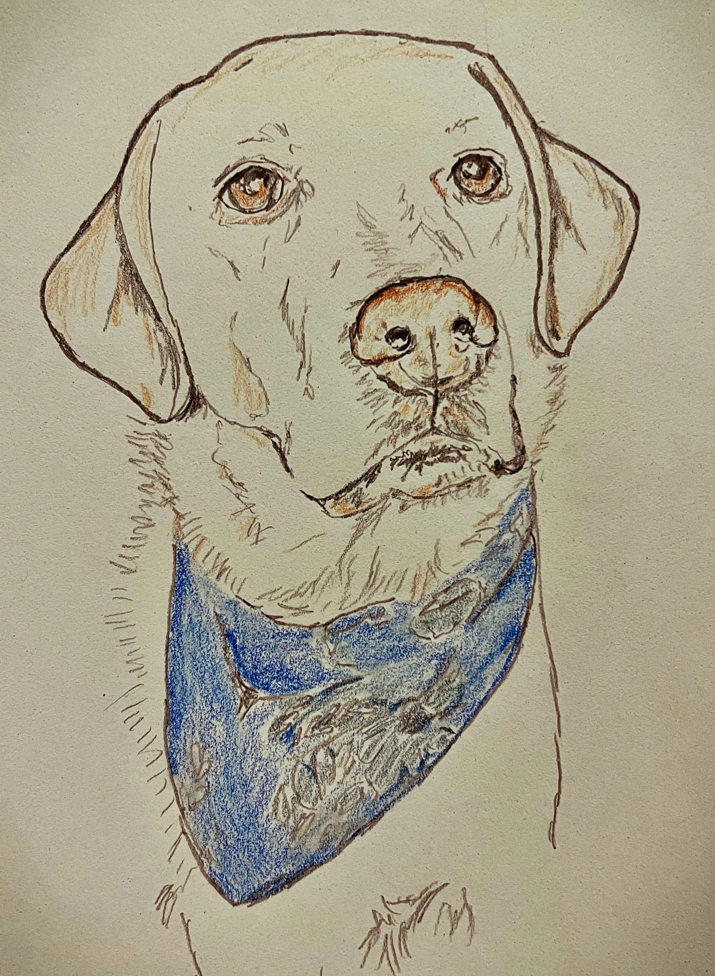 Stella