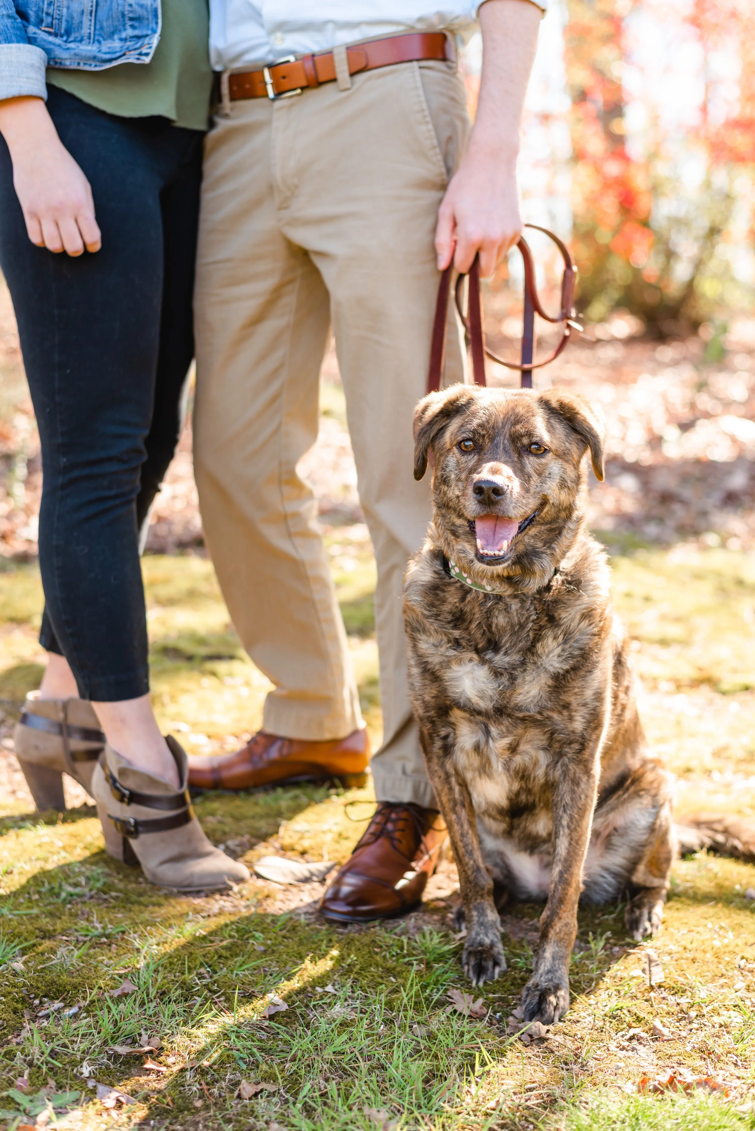 Casey_Julie_engaged-15.jpg