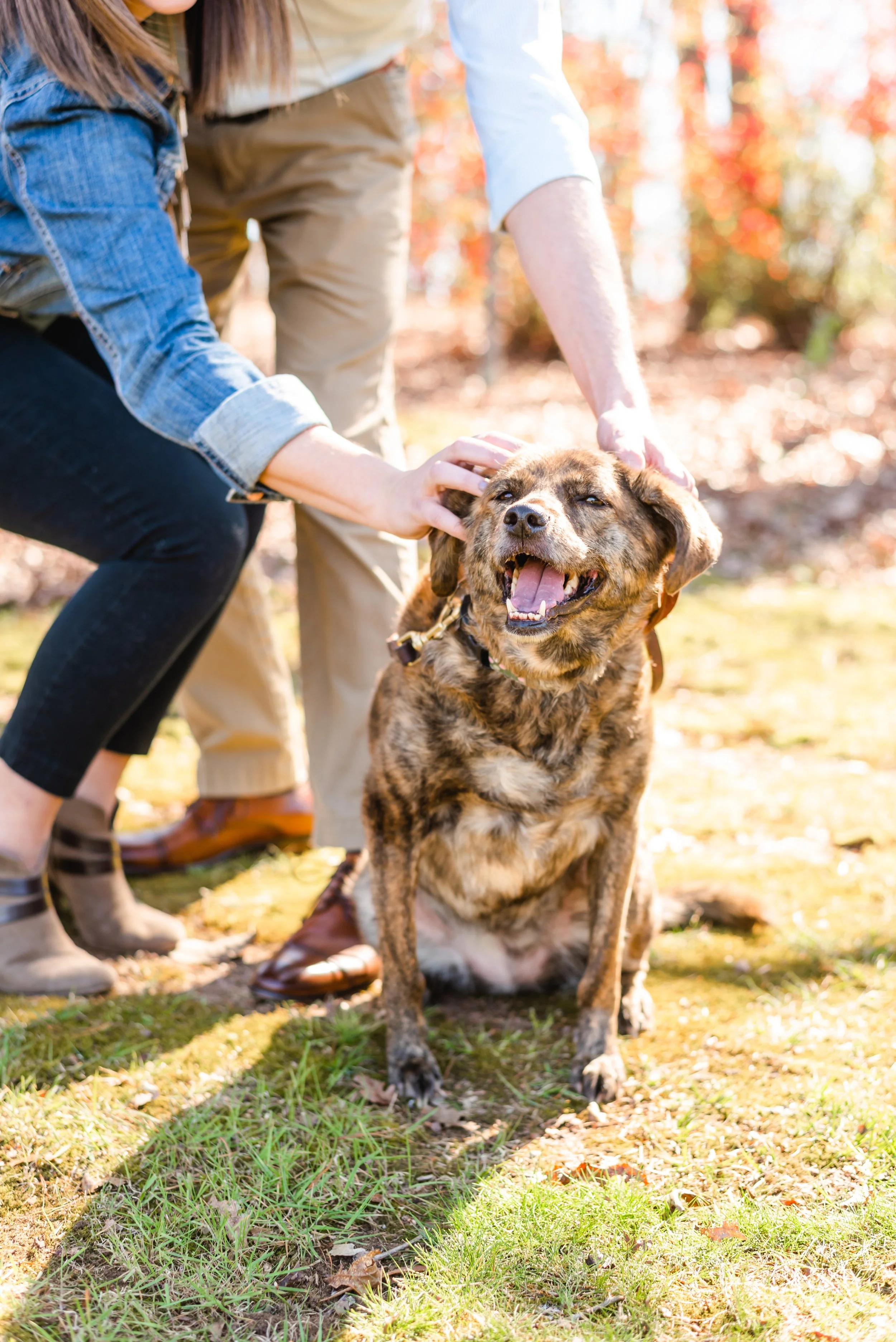 Casey_Julie_engaged-16.jpg