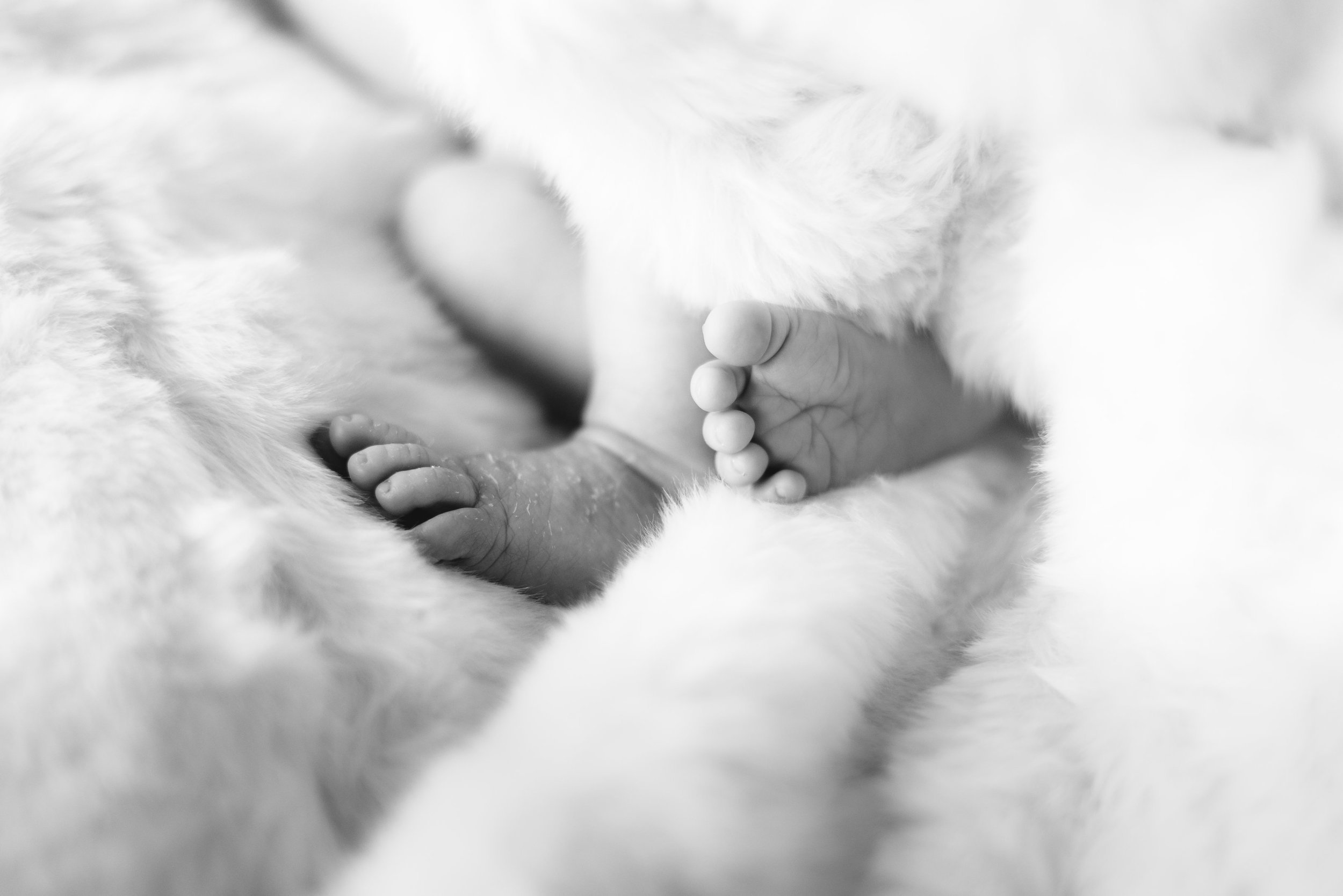 Robert_newborn-115.jpg