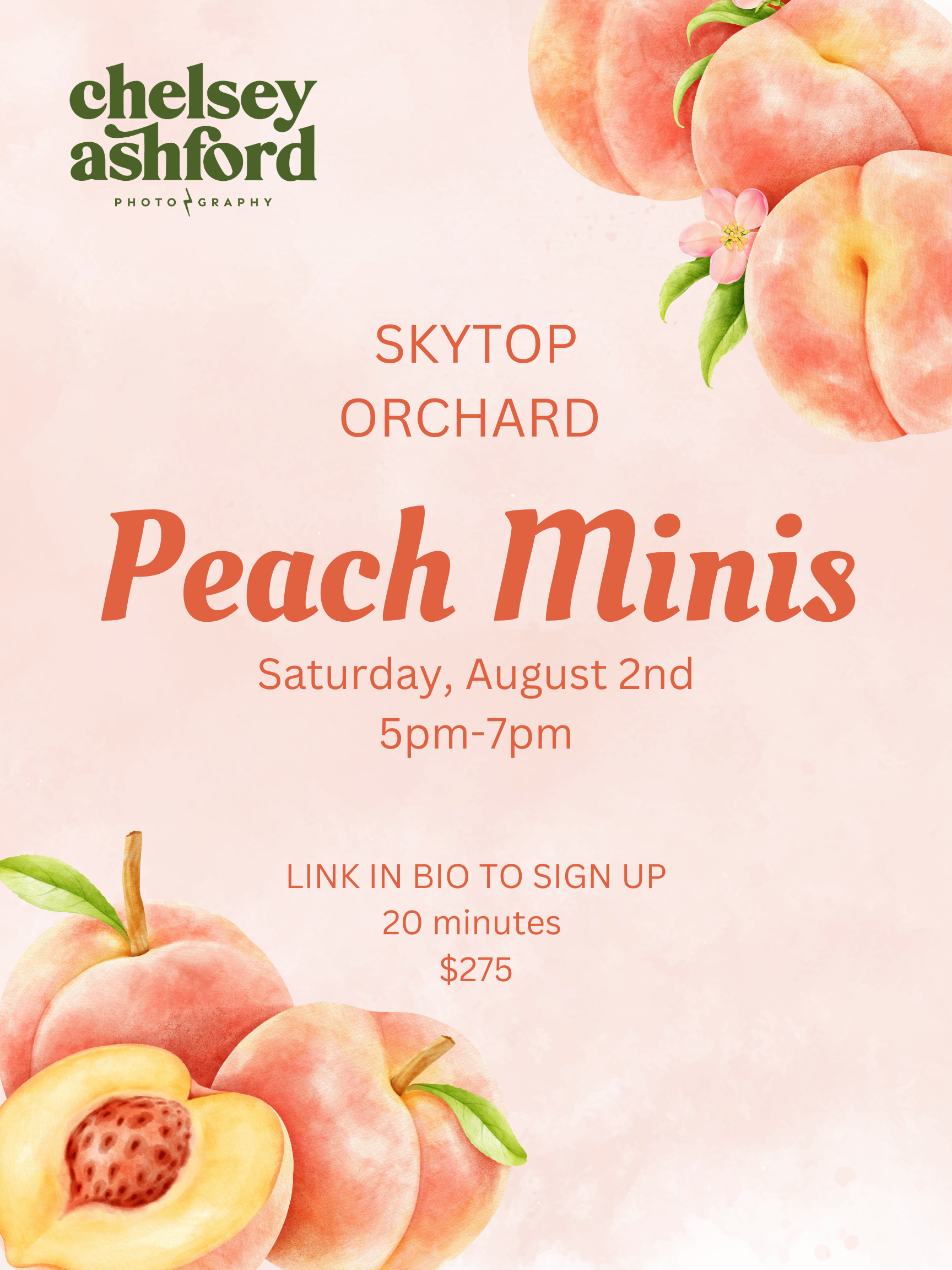 PEACH MINIS