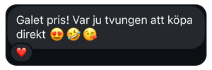 Leveld Studio - Notionmall för tjänsteföretagare VA Sucess system recensioner (10).png