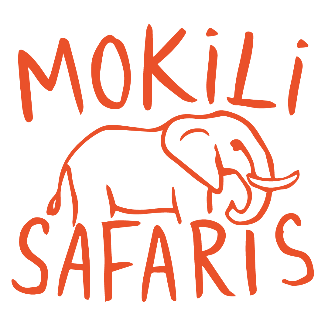 Mokili Safaris