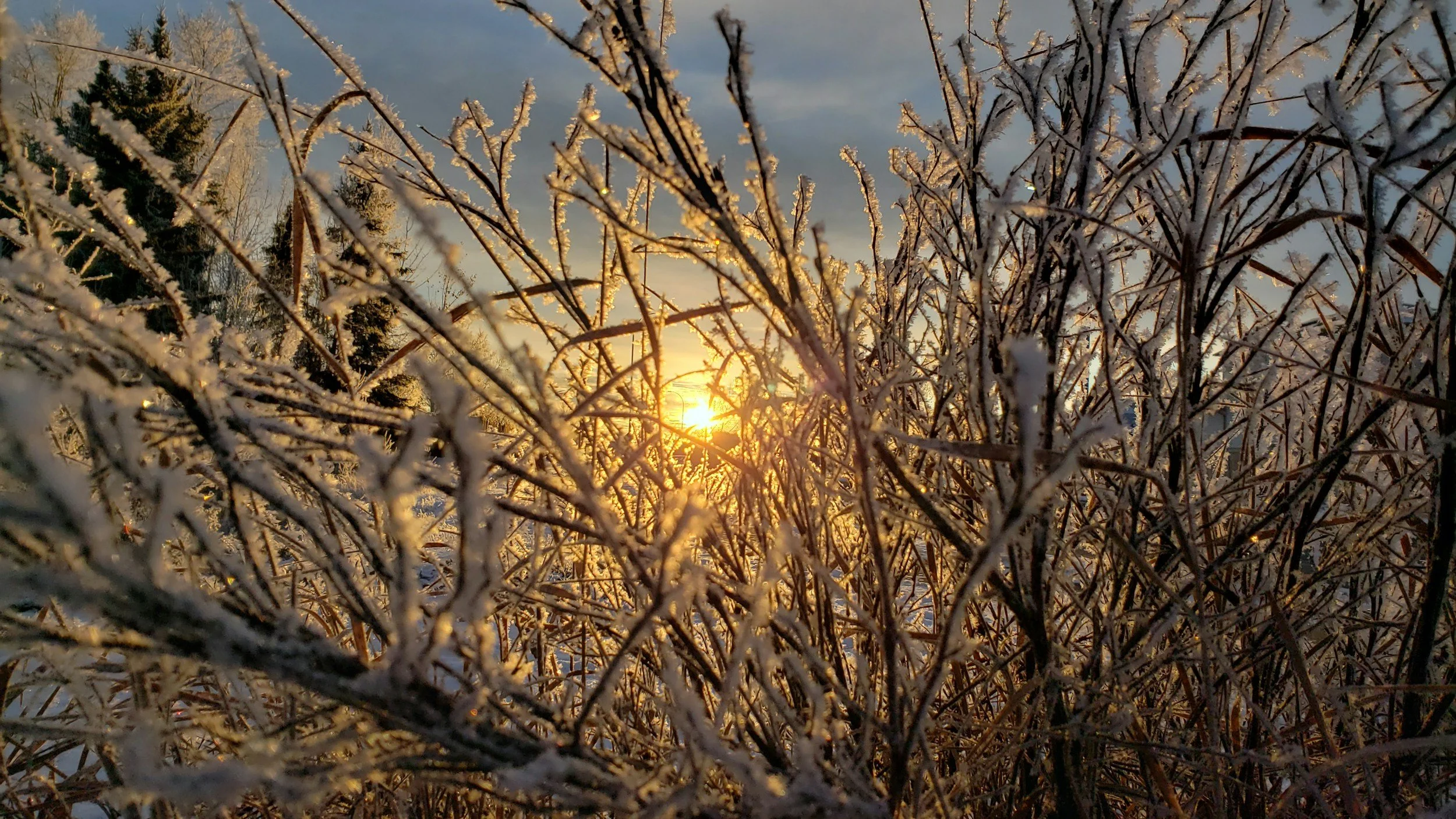 Born Thy People to Deliver…