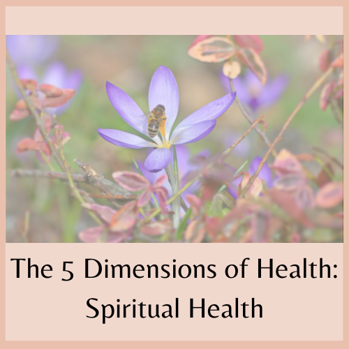 The 5 Dimensions of Health: Spiritual Health