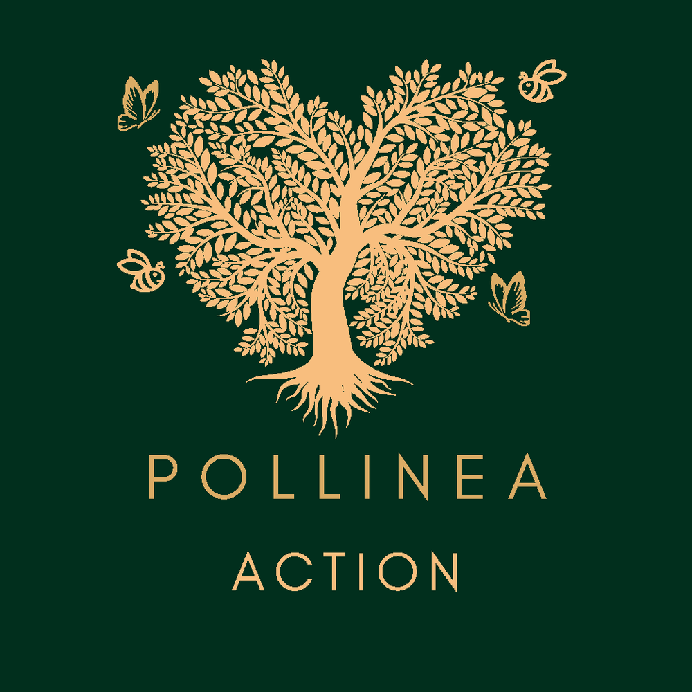 Pollin&eacute;a Action