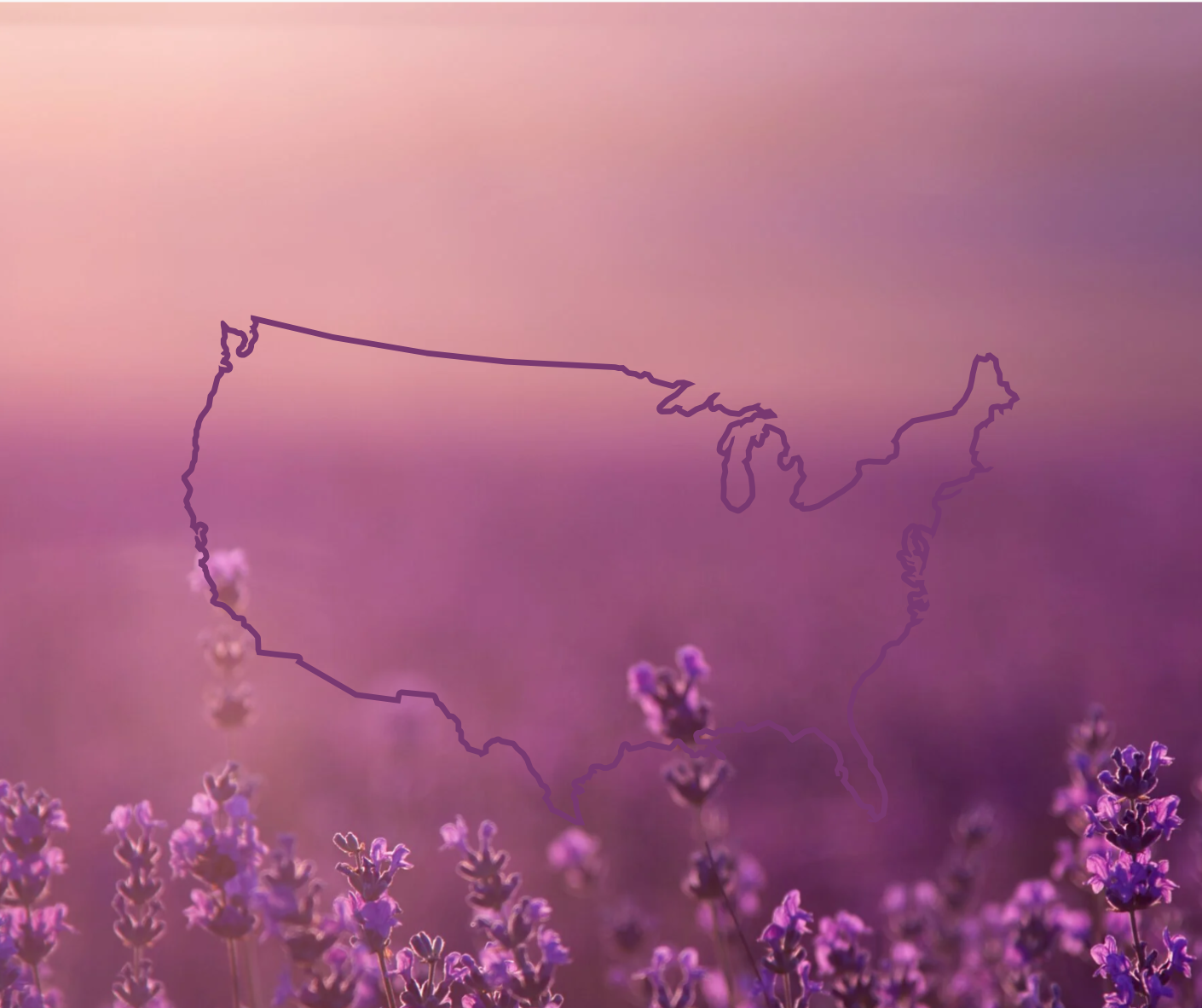 Zoom Training (Europe/USA) 