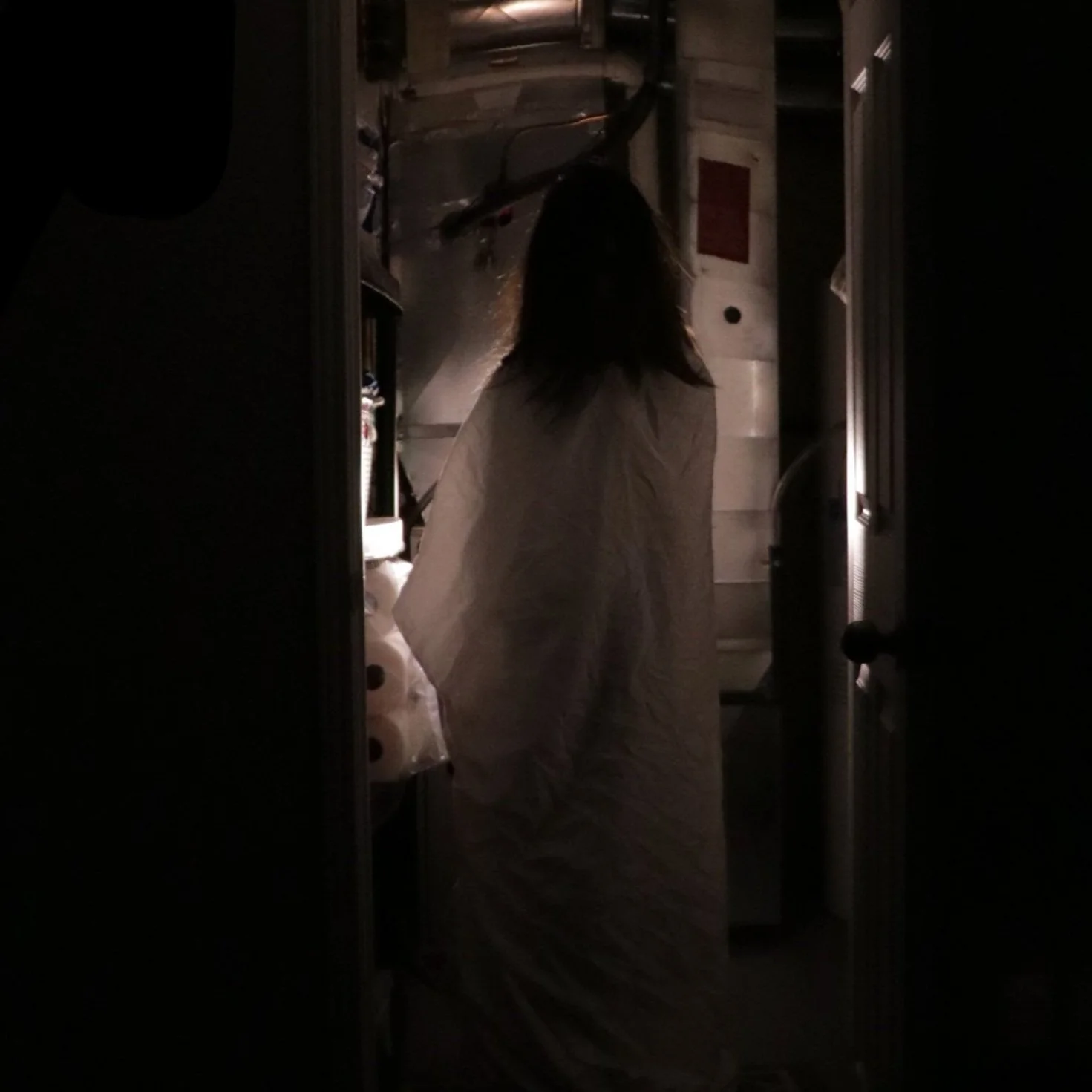 The Girl in My Closet