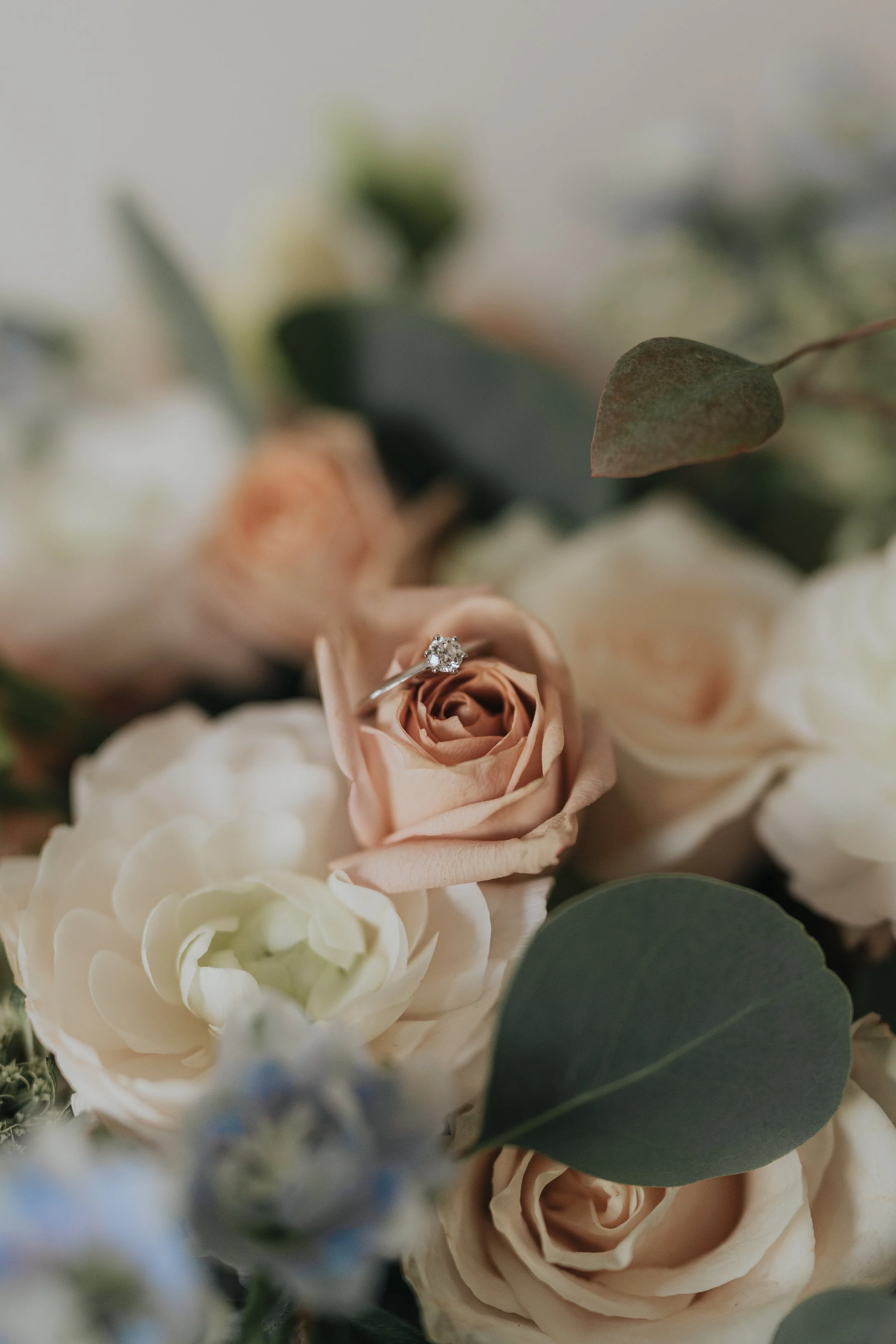 Close-up of a wedding ring resting on a blush pink rose surrounded by white and green flowers and eucalyptus leaves.