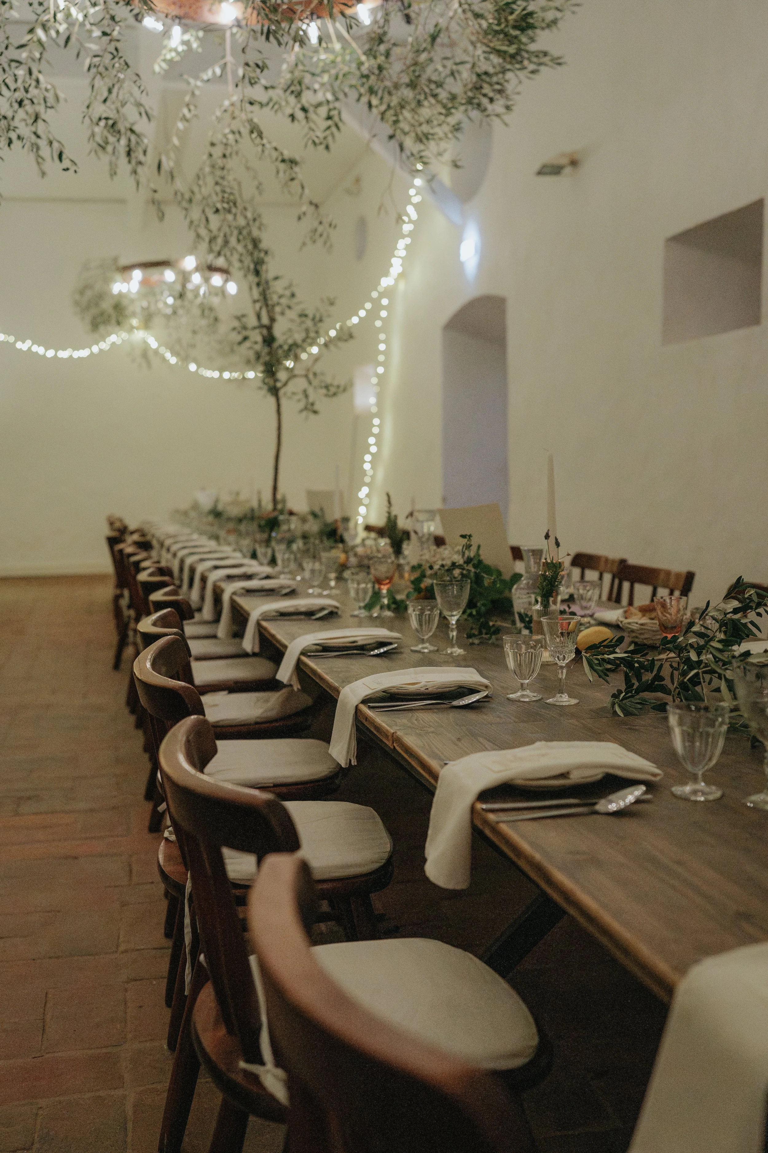 A long wooden dining table set for a meal with wine glasses, plates, and napkins, decorated with greenery, in a room with white walls and string lights hanging from the ceiling, and a large potted tree near the wall.