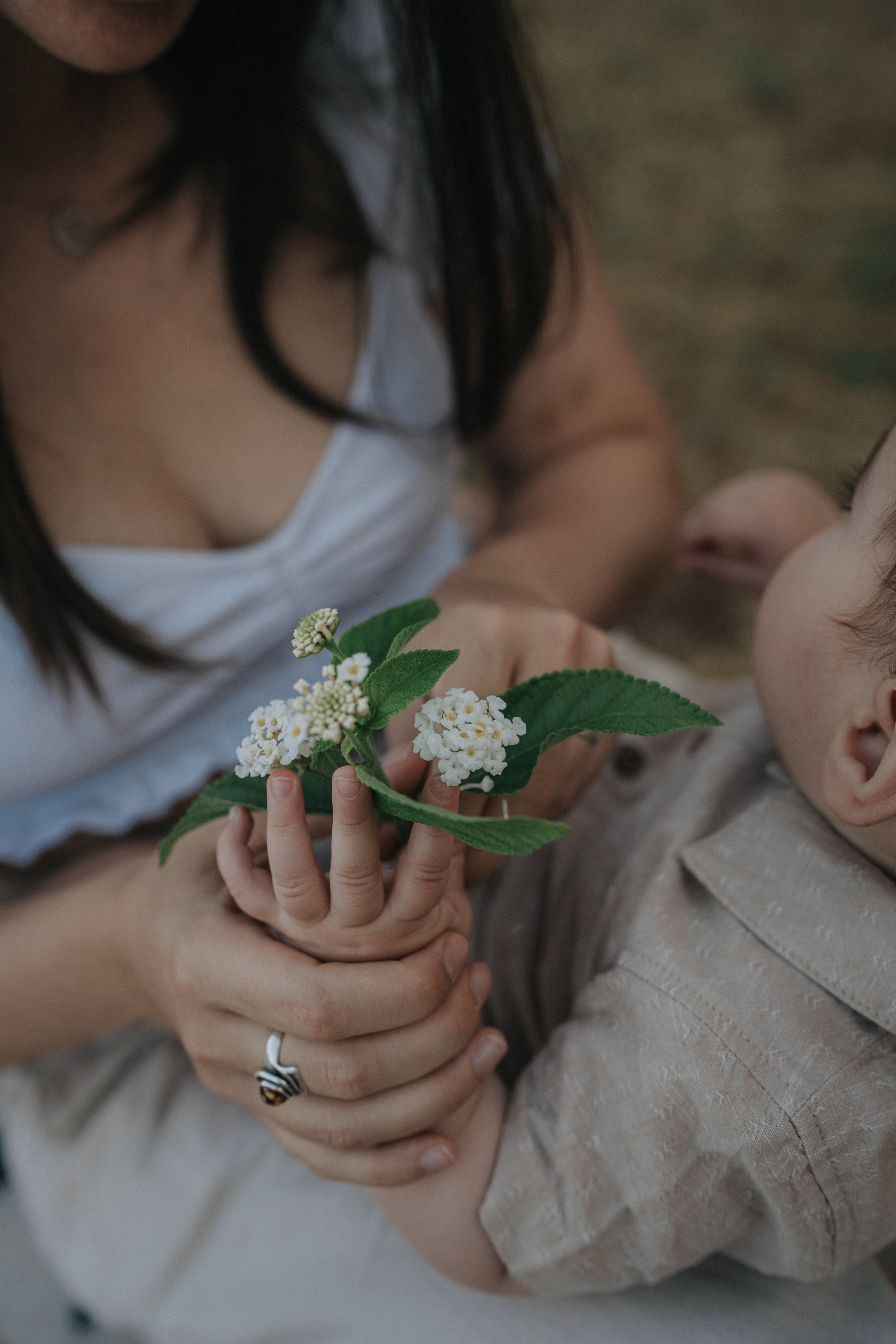 A person holding a small green plant with white flowers, with a child lying down nearby. The person has a ring with black and white stripes and a butterfly design, and the scene appears to be outdoors.