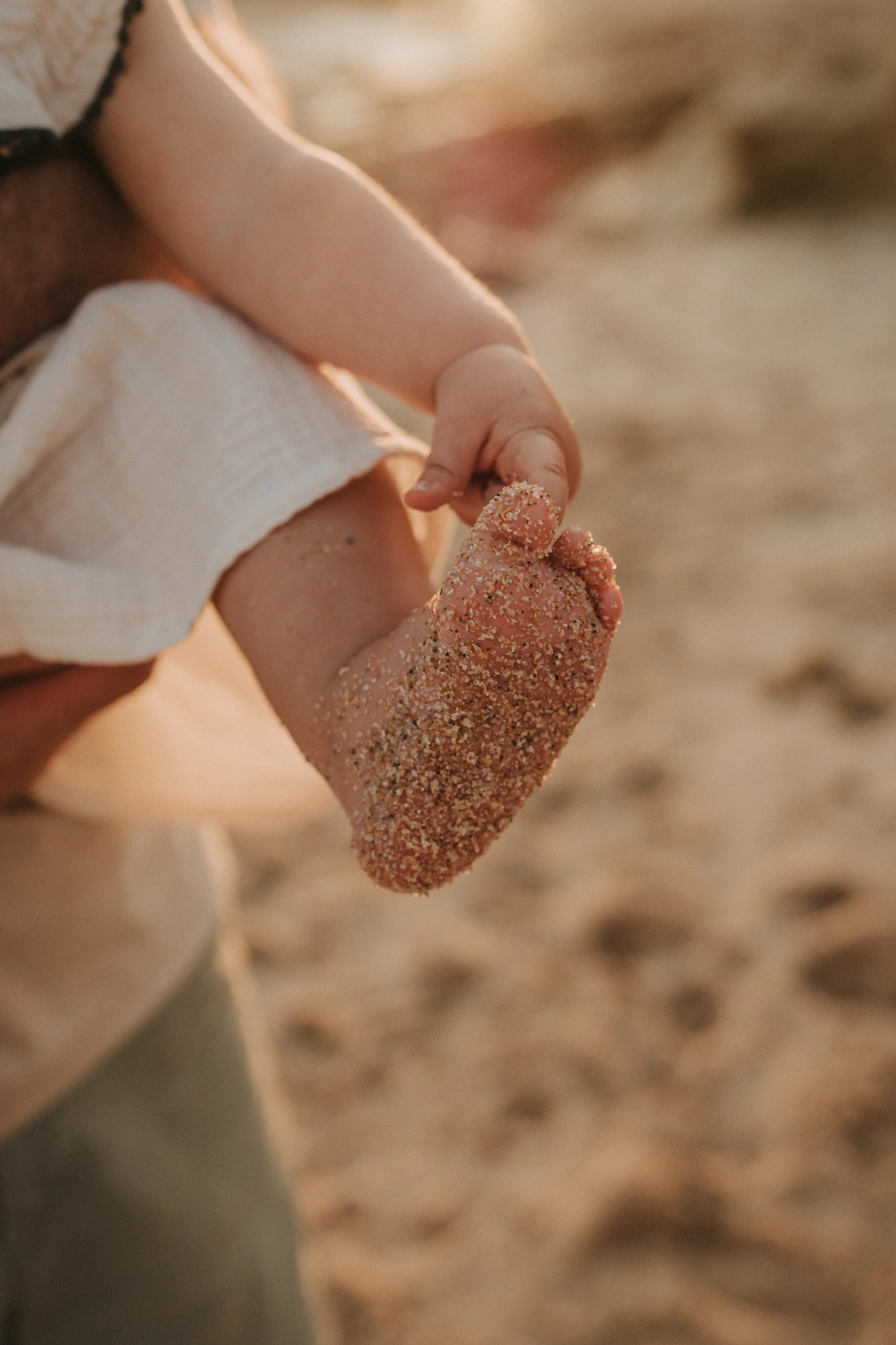 A person holding a small seashell covered in sand, with sandy beach in the background.