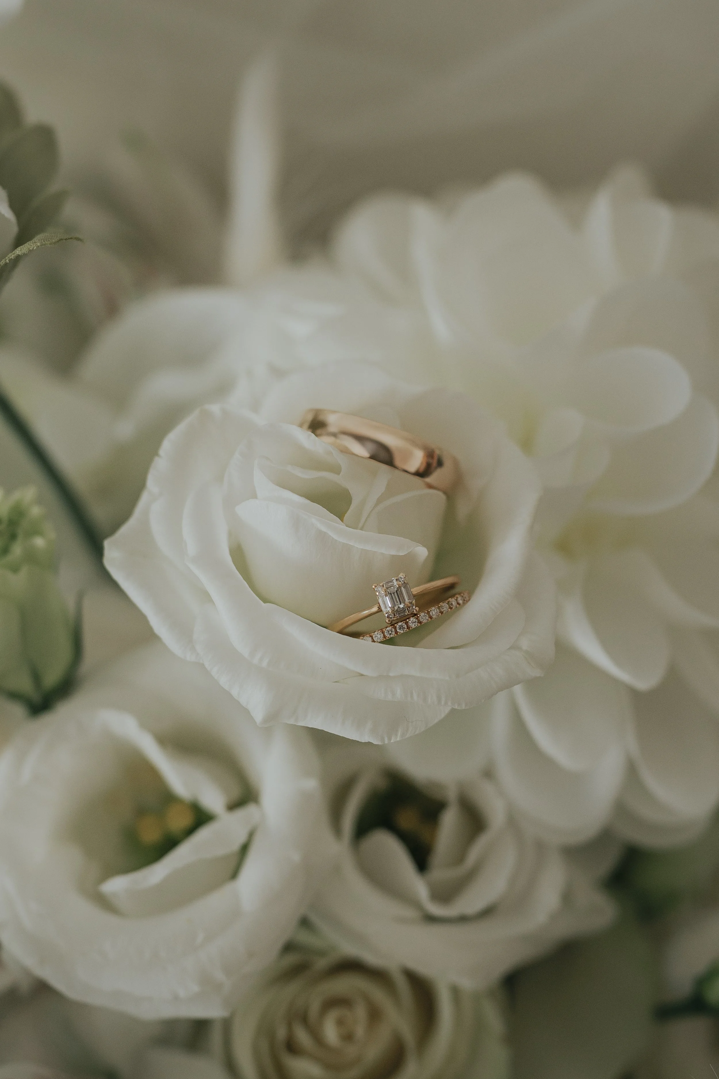 Close-up of a white rose with a wedding ring and an engagement ring resting inside the petals.