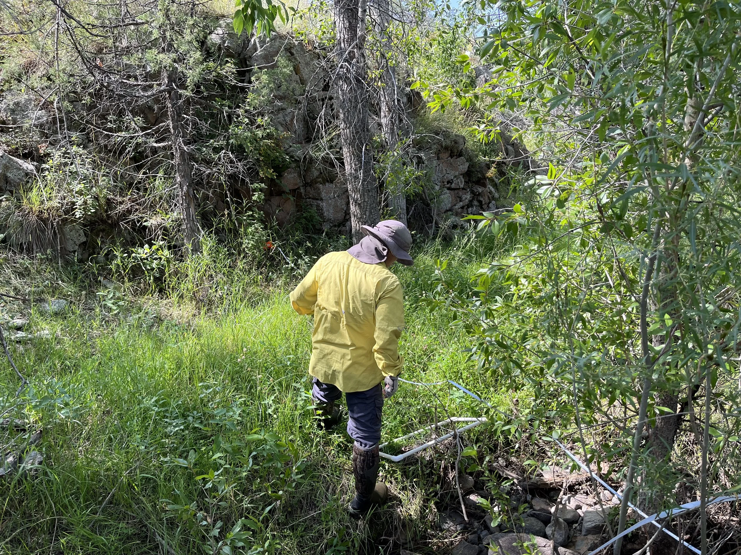Preble’s Meadow Jumping Mouse Sampling Update: North Fork Poudre Site Conservation Area&nbsp;