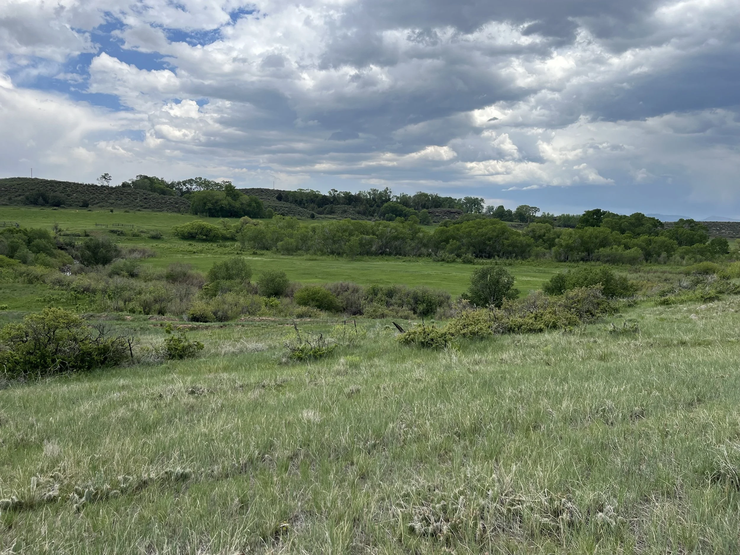Turning Stewardship into Income: A New Conservation Opportunity for Landowners in Larimer County