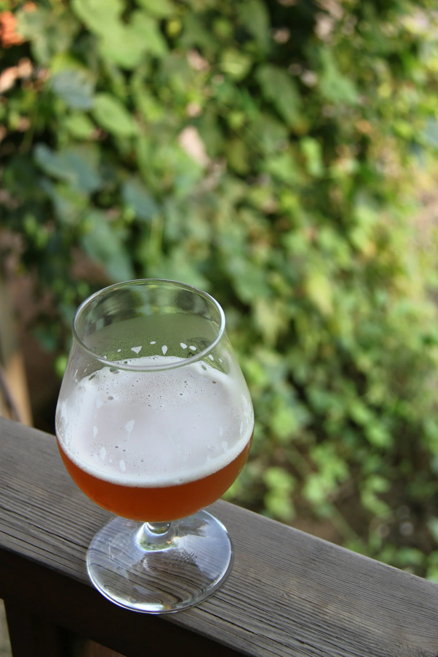 Euro Beerfest
