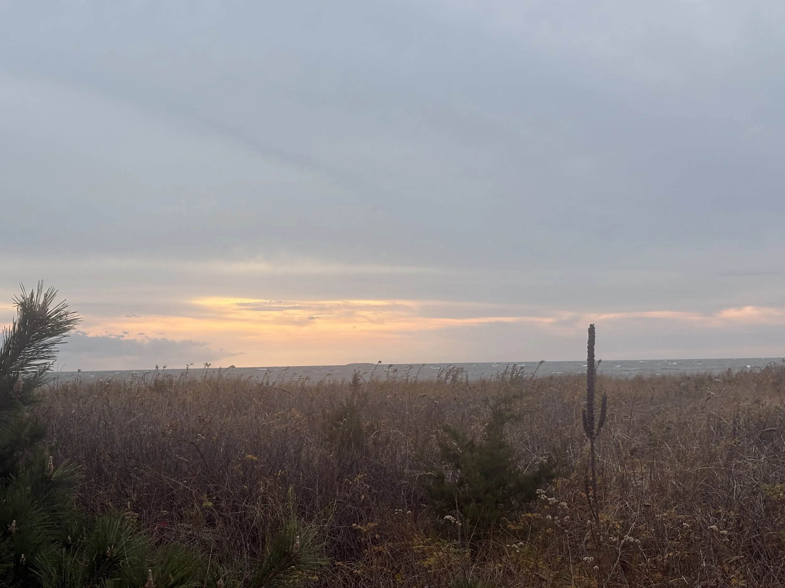 Anxiety in a Time of Political and Social Unrest