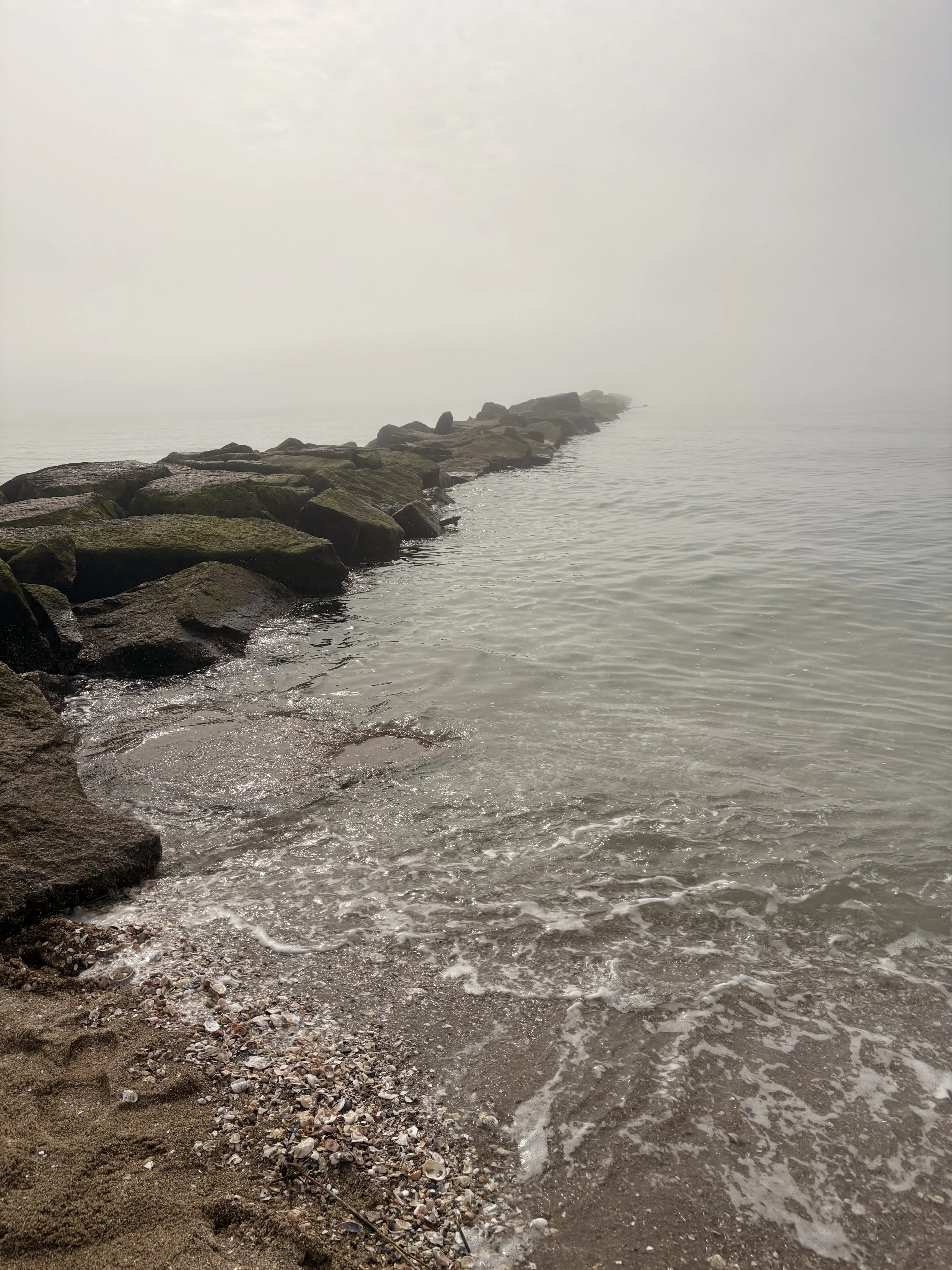 When Protection Becomes Pattern: Understanding Fight, Flight, Freeze, and Fawn