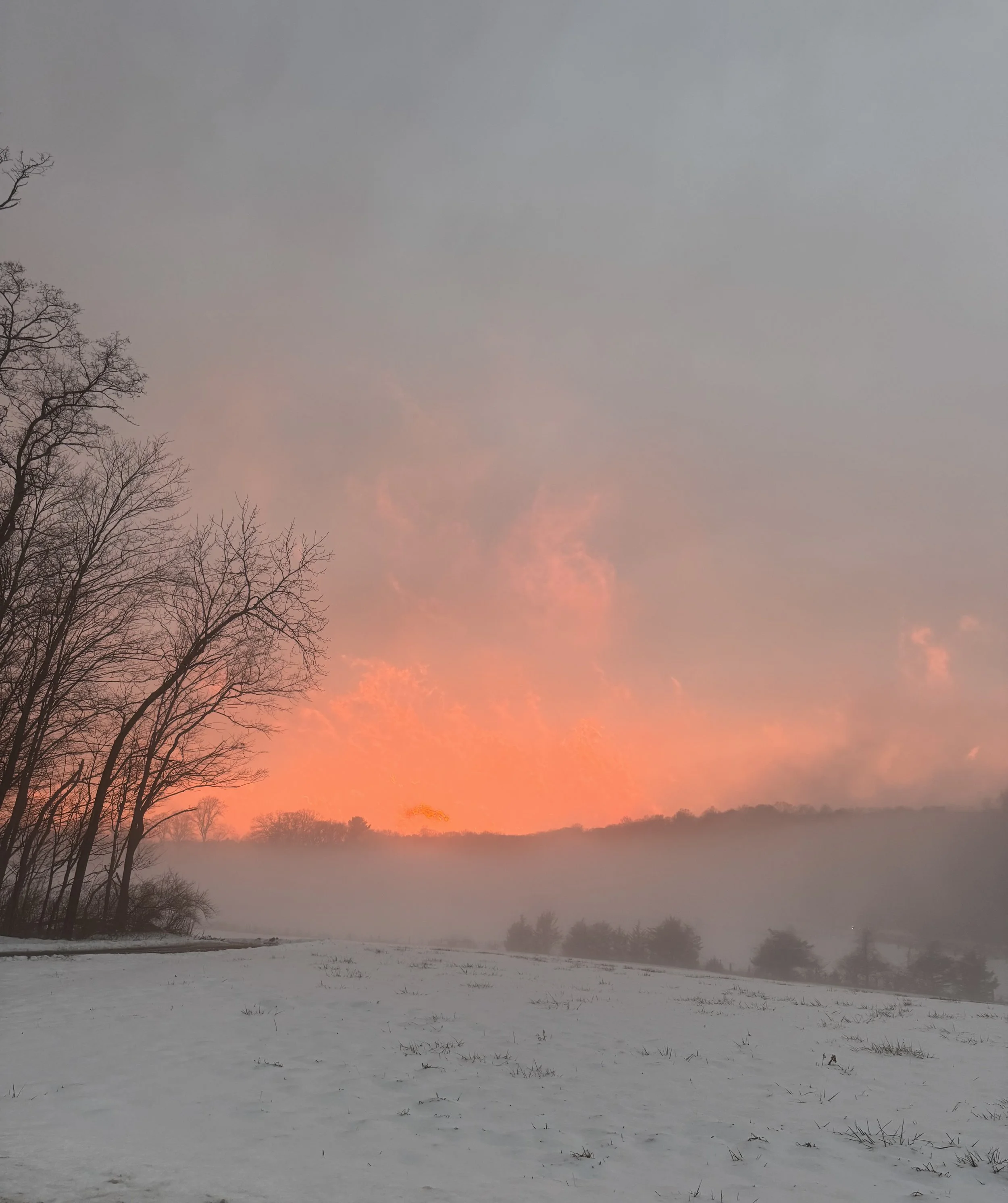 The Wonder of it All.