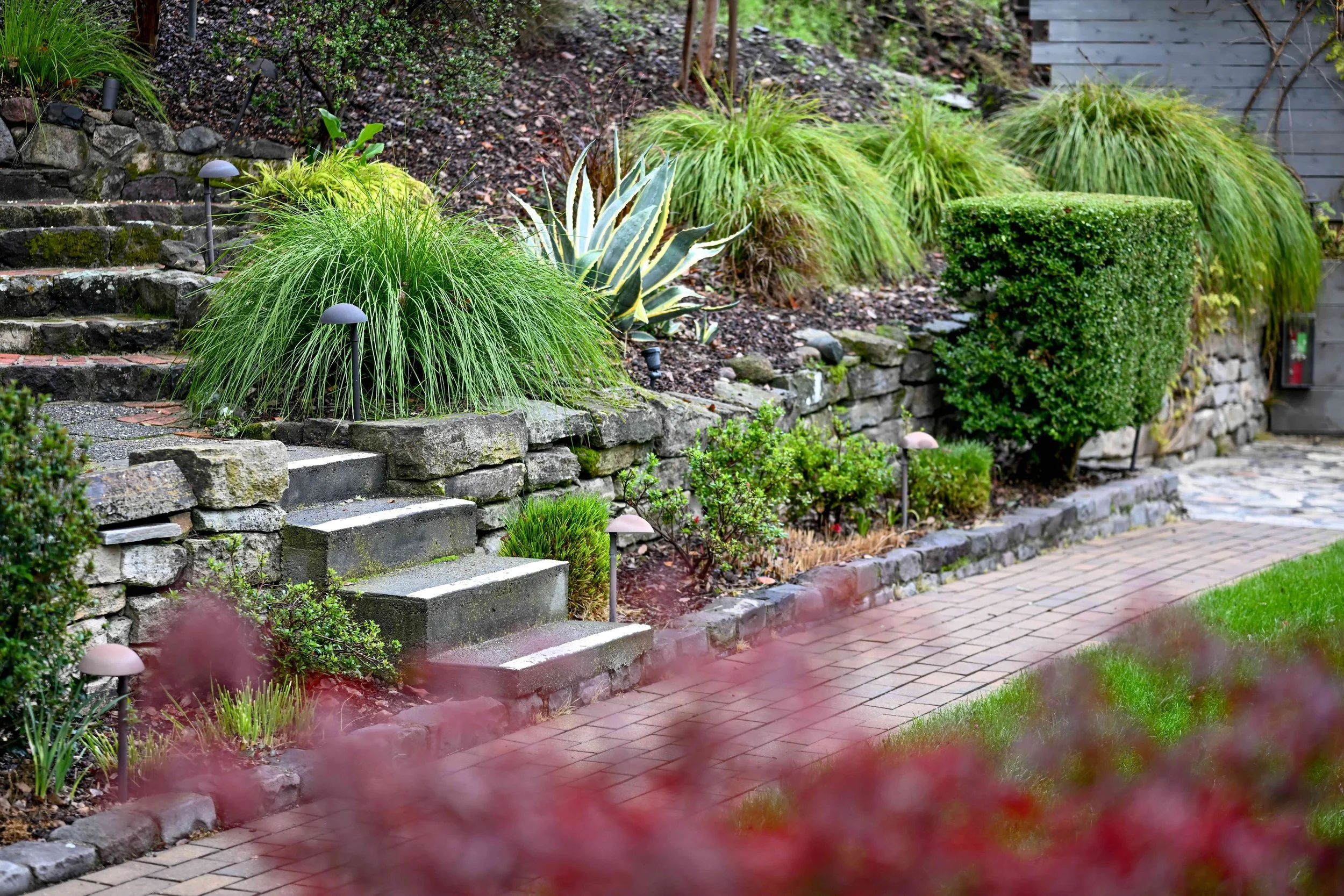 A garden with stone steps leading up a terraced landscape, surrounded by grass, various green plants, and bushes, with pathway lighting and a brick walkway.