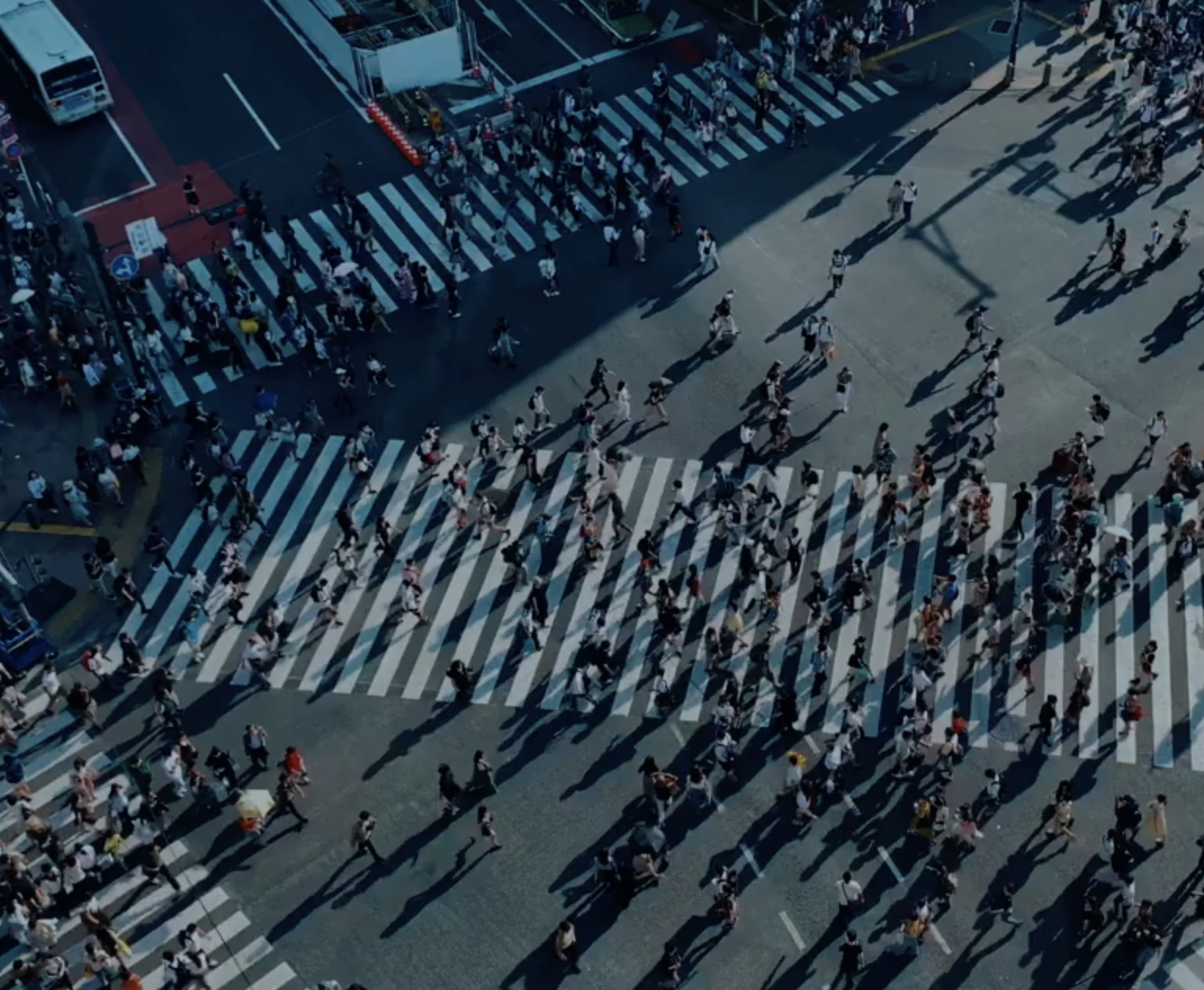 Tokyo Vice