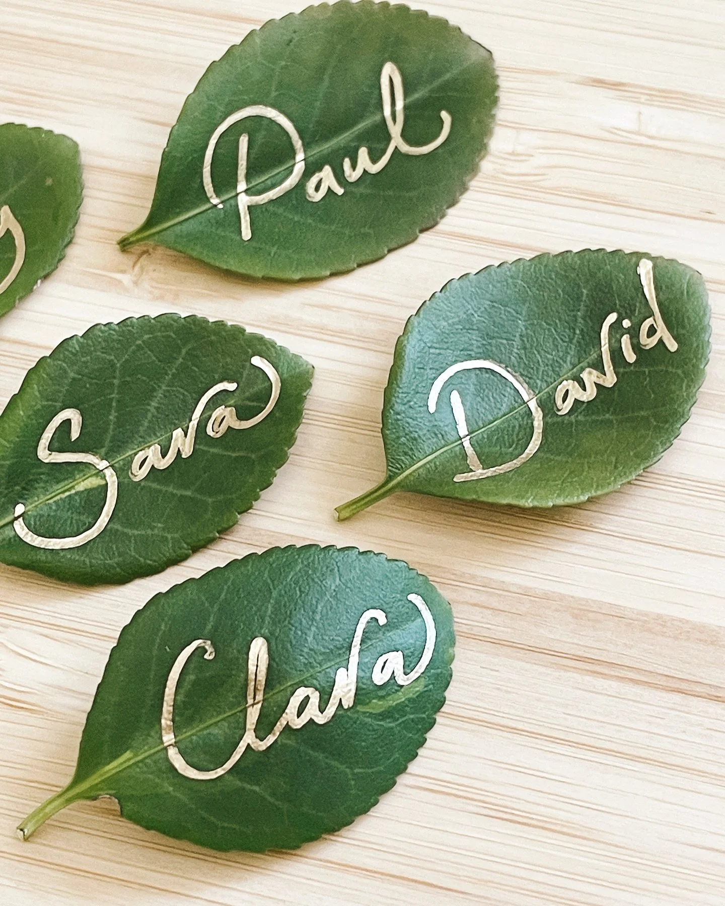 🌿 A little slice of nature 🌱 
木漏れ日 / komorebi / sunlight leaking through trees

There are few things I love as much as the sunlight as it leaks through tree leaves, the wind gently making them ripple and dapple the floor.

🍃 komorebi is of those J