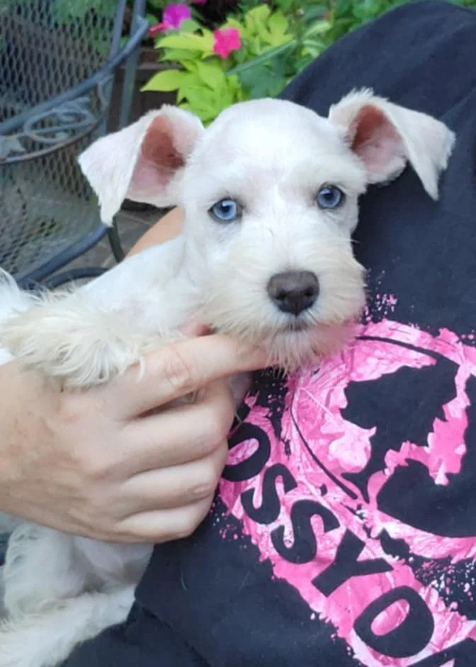 Messenger_creation_f0c10541-ceb1-497c-9eaf-974a50cc71bb (2).jpeg