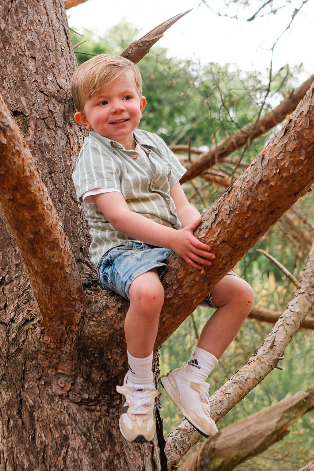 woods-20.jpg