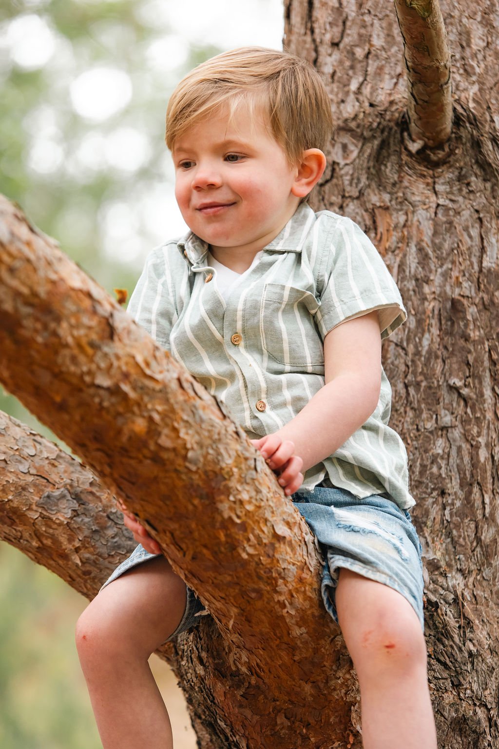 woods-106.jpg