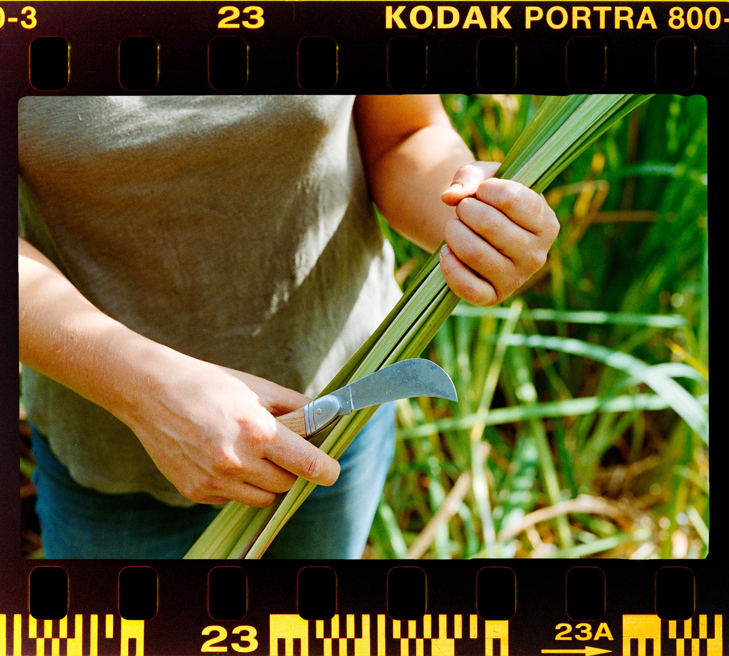 RFerand_C69_Elan7_Portra800_35-Joan Carrigan-HD.jpg