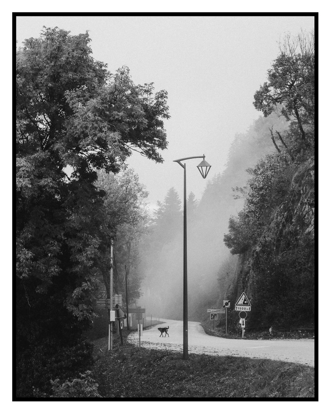 I shot an exposure first on a roll of Ilford FP4 and then aimed to match a digital frame when this dog entered the shot. Ultimately, the digital image proved more effective.
Montmin, Haute-Savoie (74)
📷Camera: Canon R5C
🎥Lens: RF 24-70 f/2.8 IS L