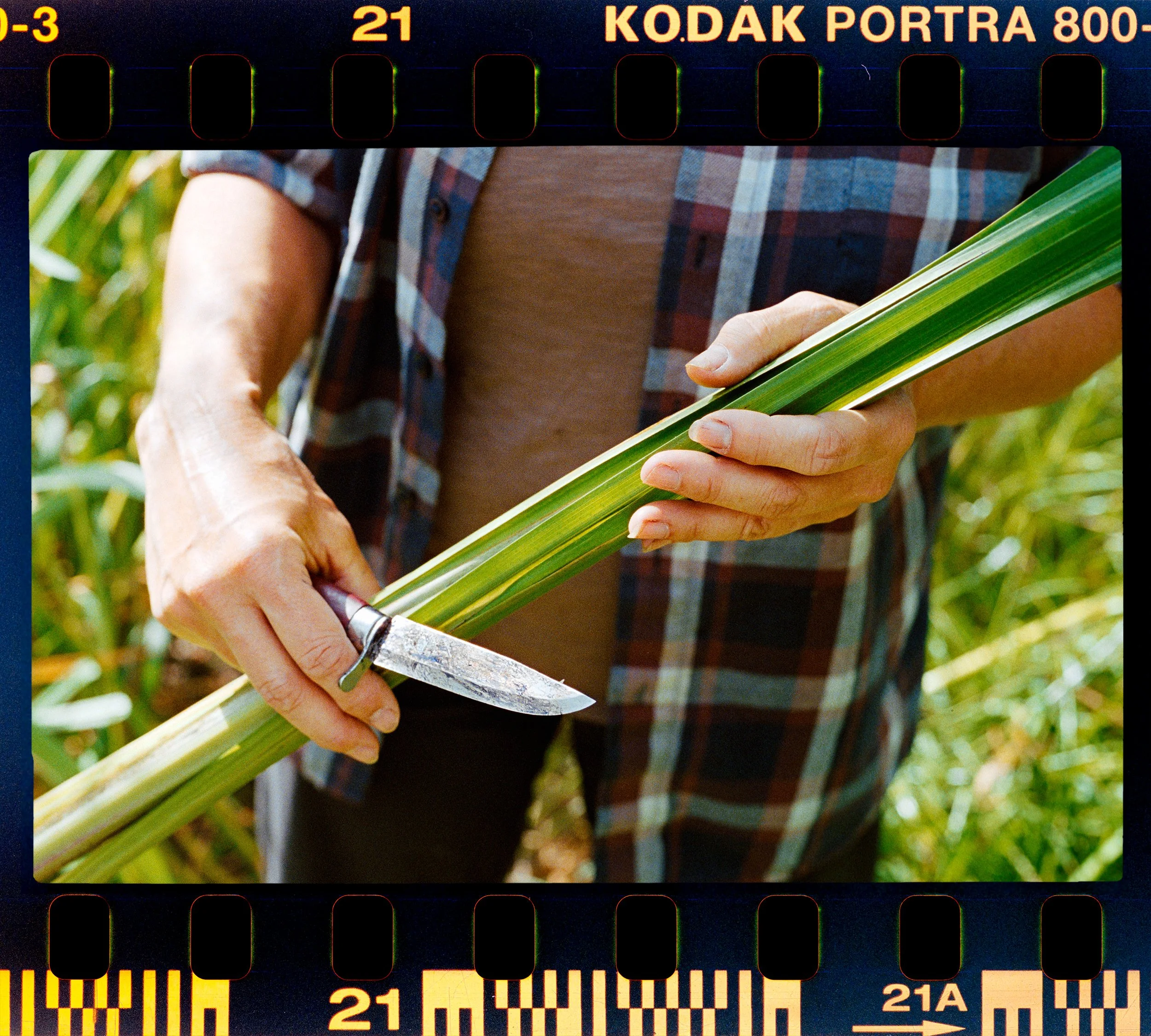 RFerand_C69_Elan7_Portra800_34-Joan Carrigan-HD.jpg