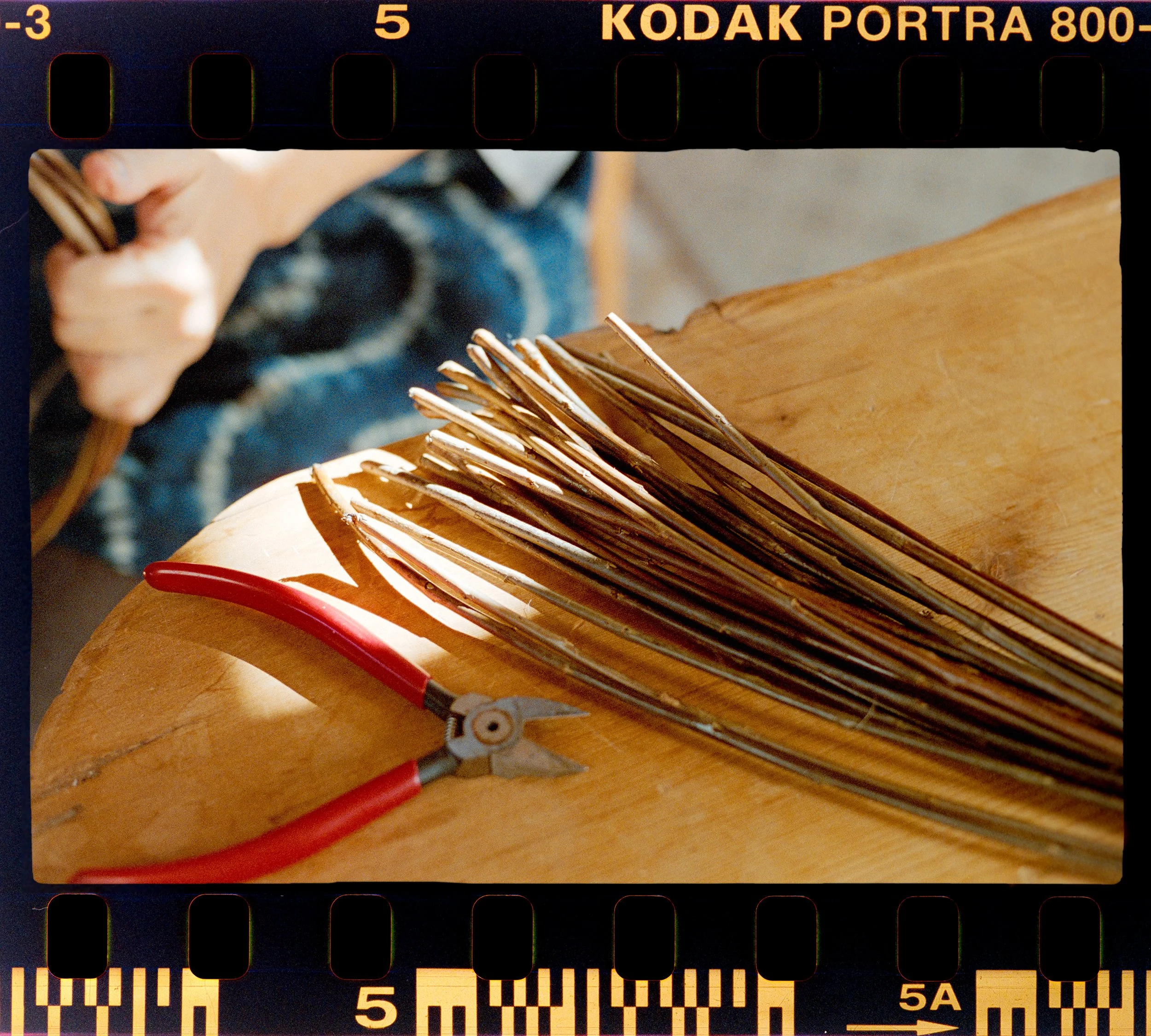 RFerand_C69_Elan7_Portra800_06-Joan Carrigan-HD.jpg