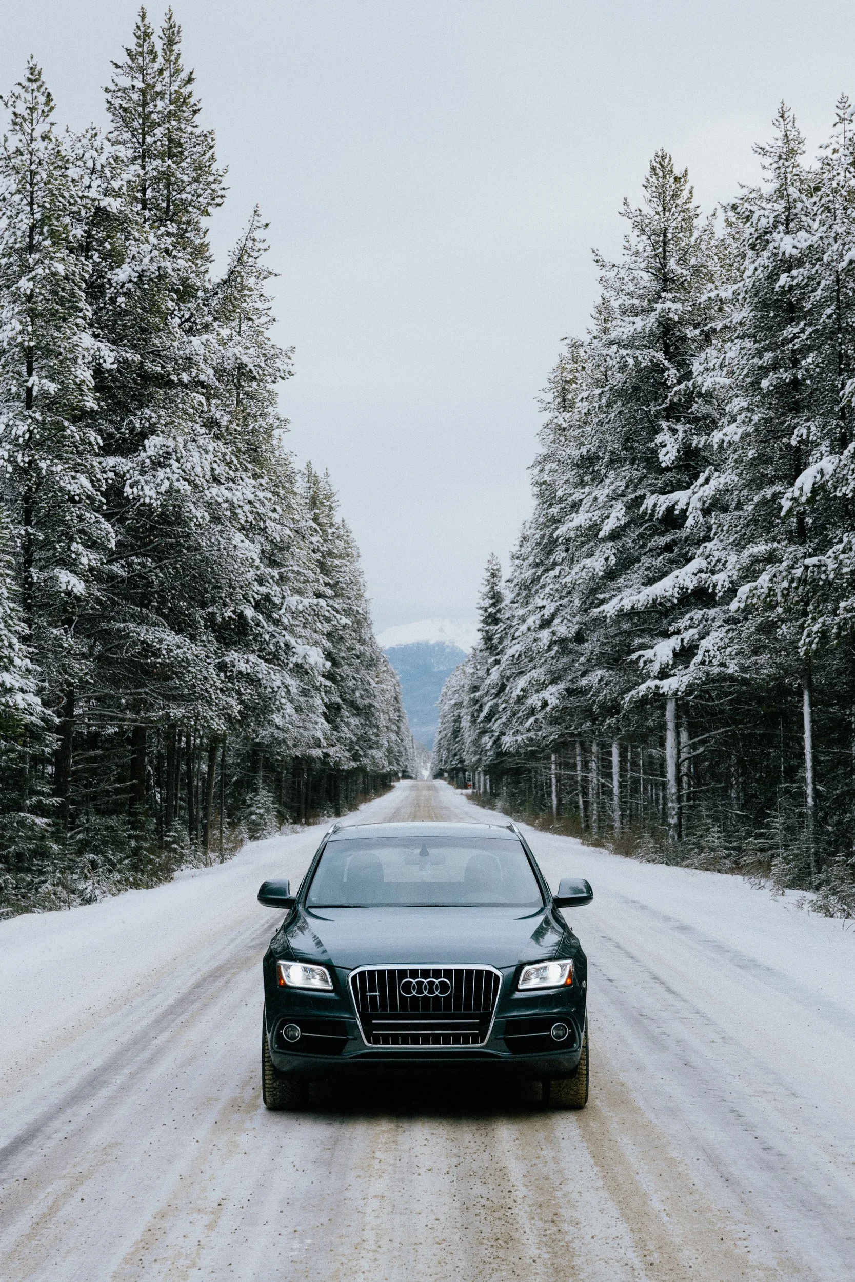 RFerand-20201124__RF_0824-Bow Valley Parkway-SD.jpg